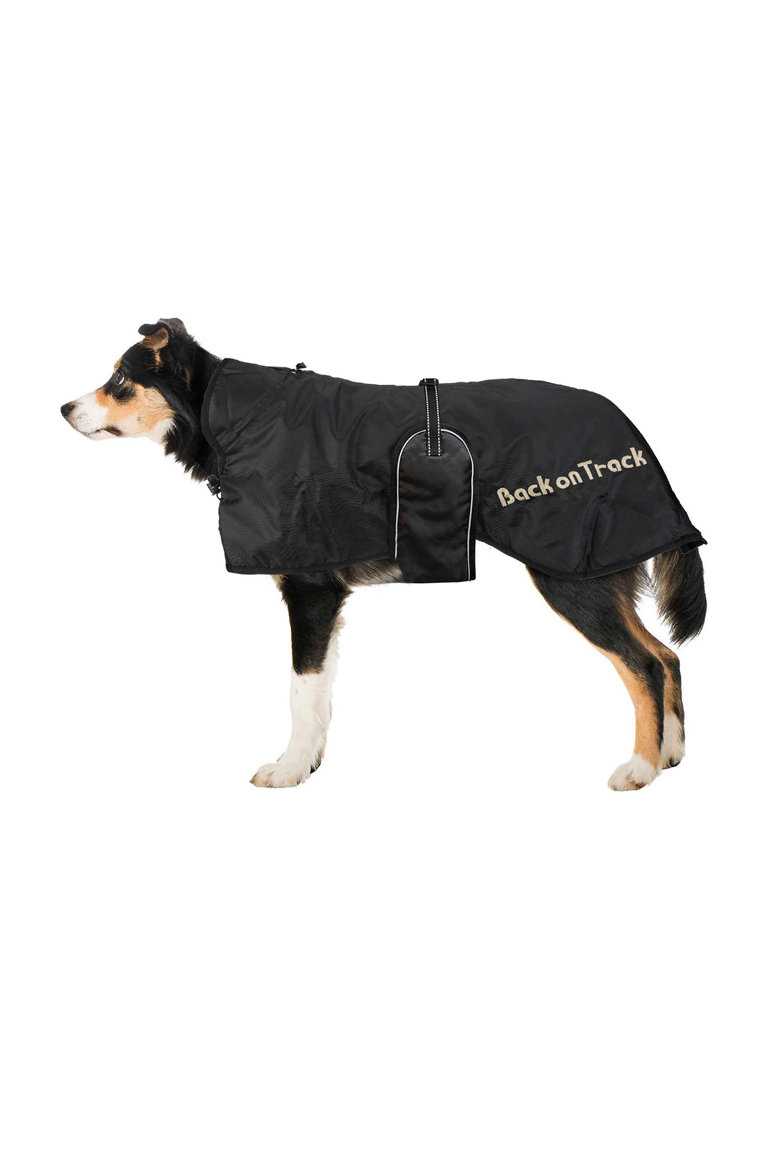 Back on Track hundt&auml;cke (43-59)