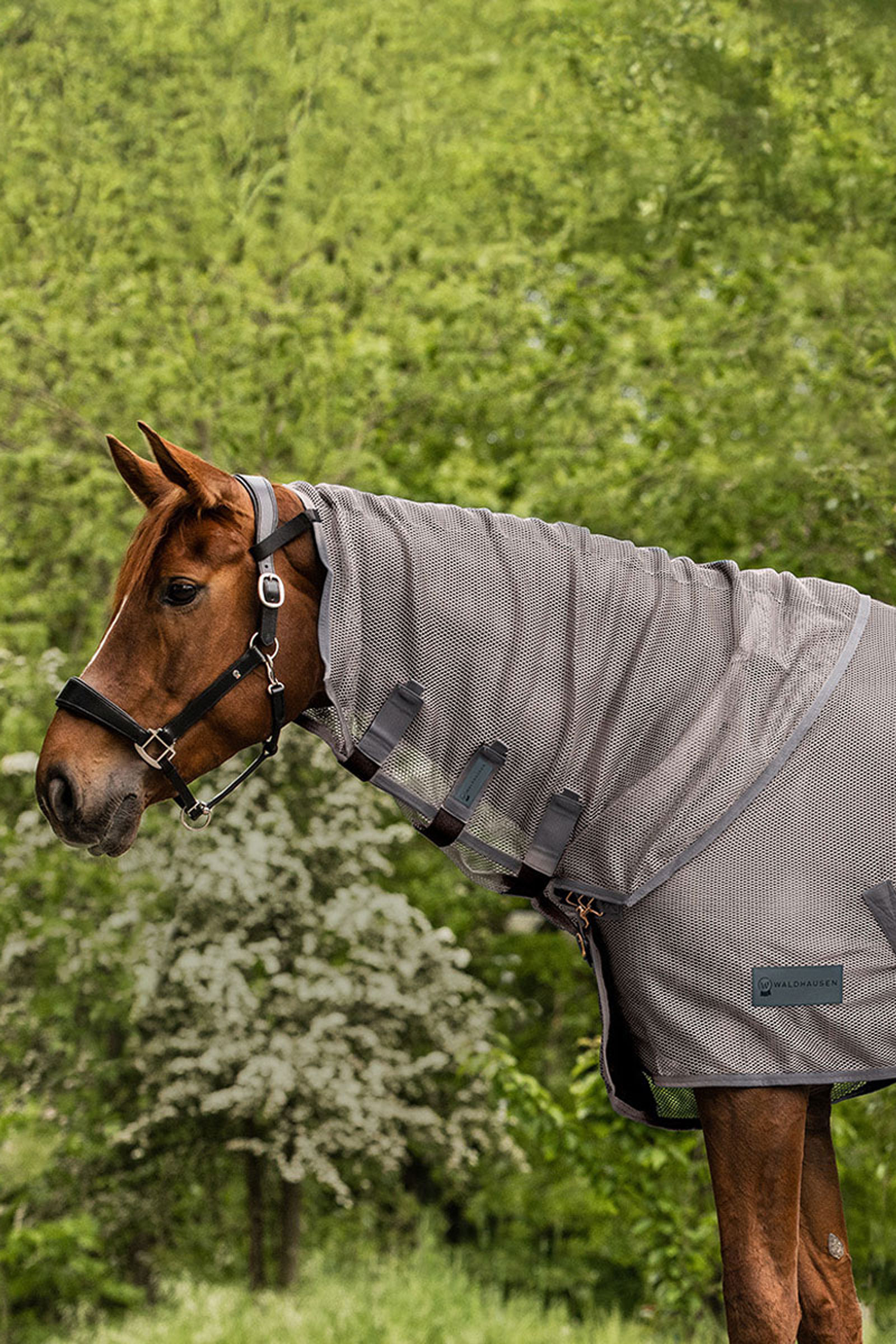 Waldhausen Comfort flughalsdel