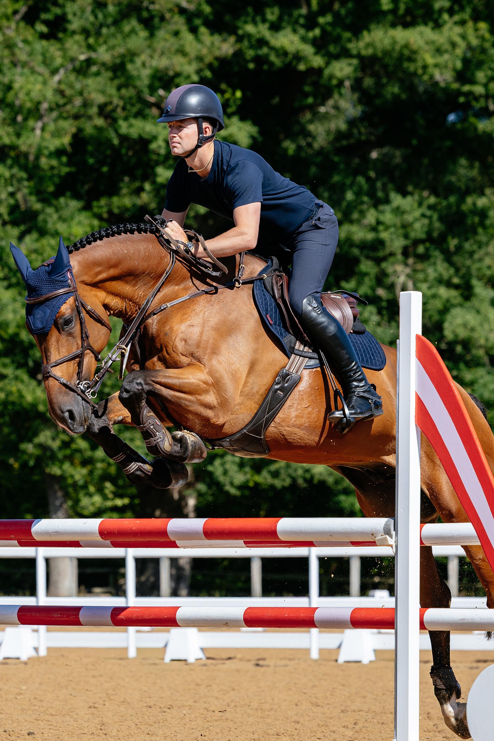 LeMieux Suede Close Contact hoppschabrak