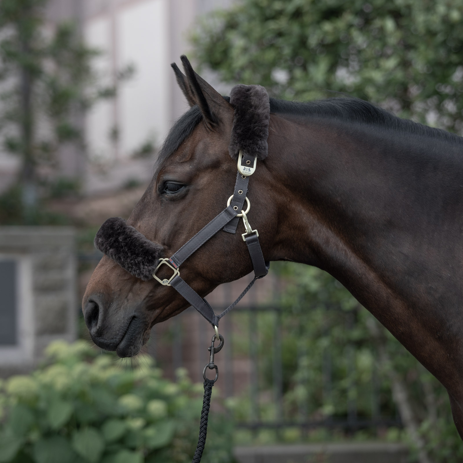 B Vertigo Laurier grimma med f&aring;rskinn