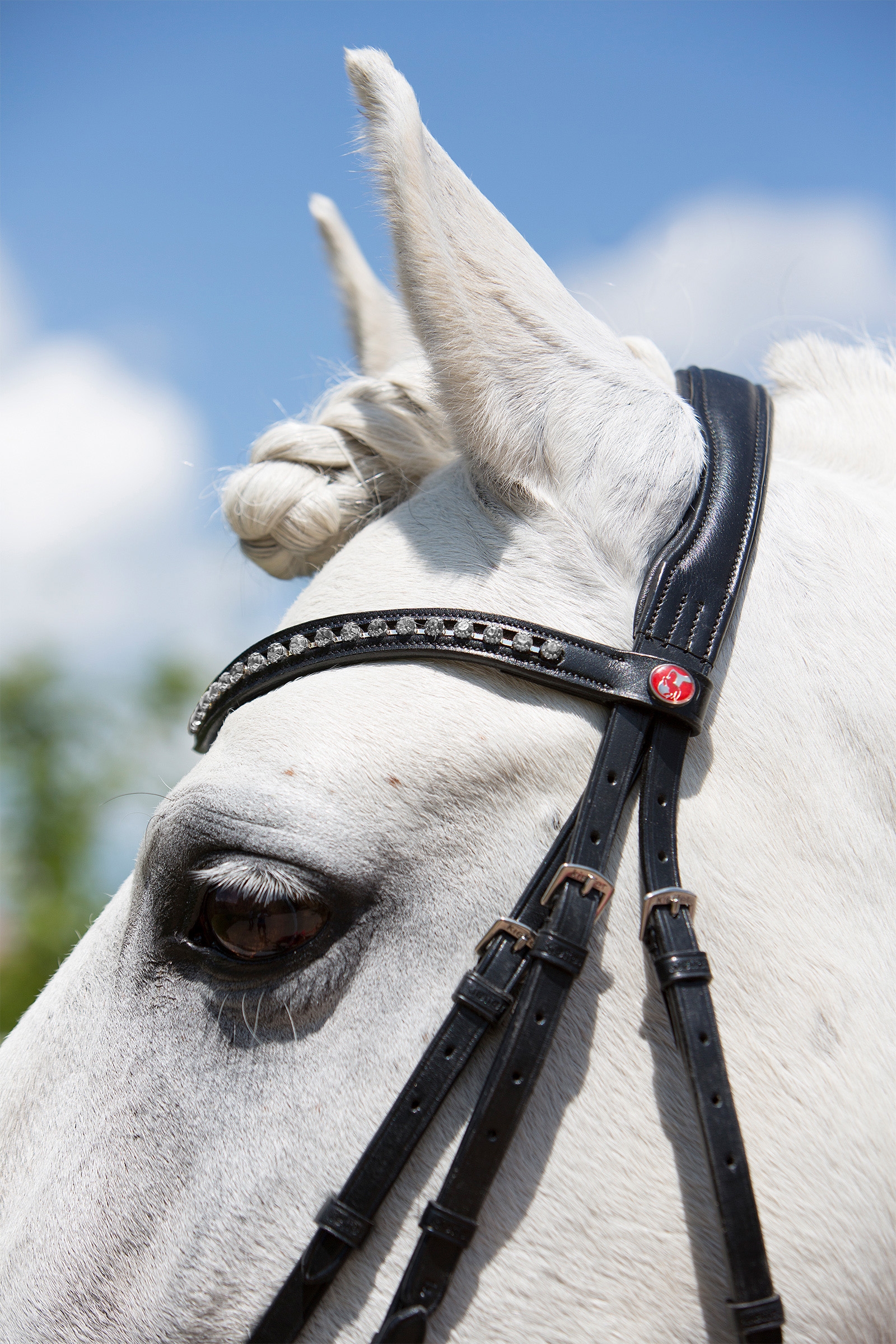 Kieffer Ultrasoft® Fashion Bridle