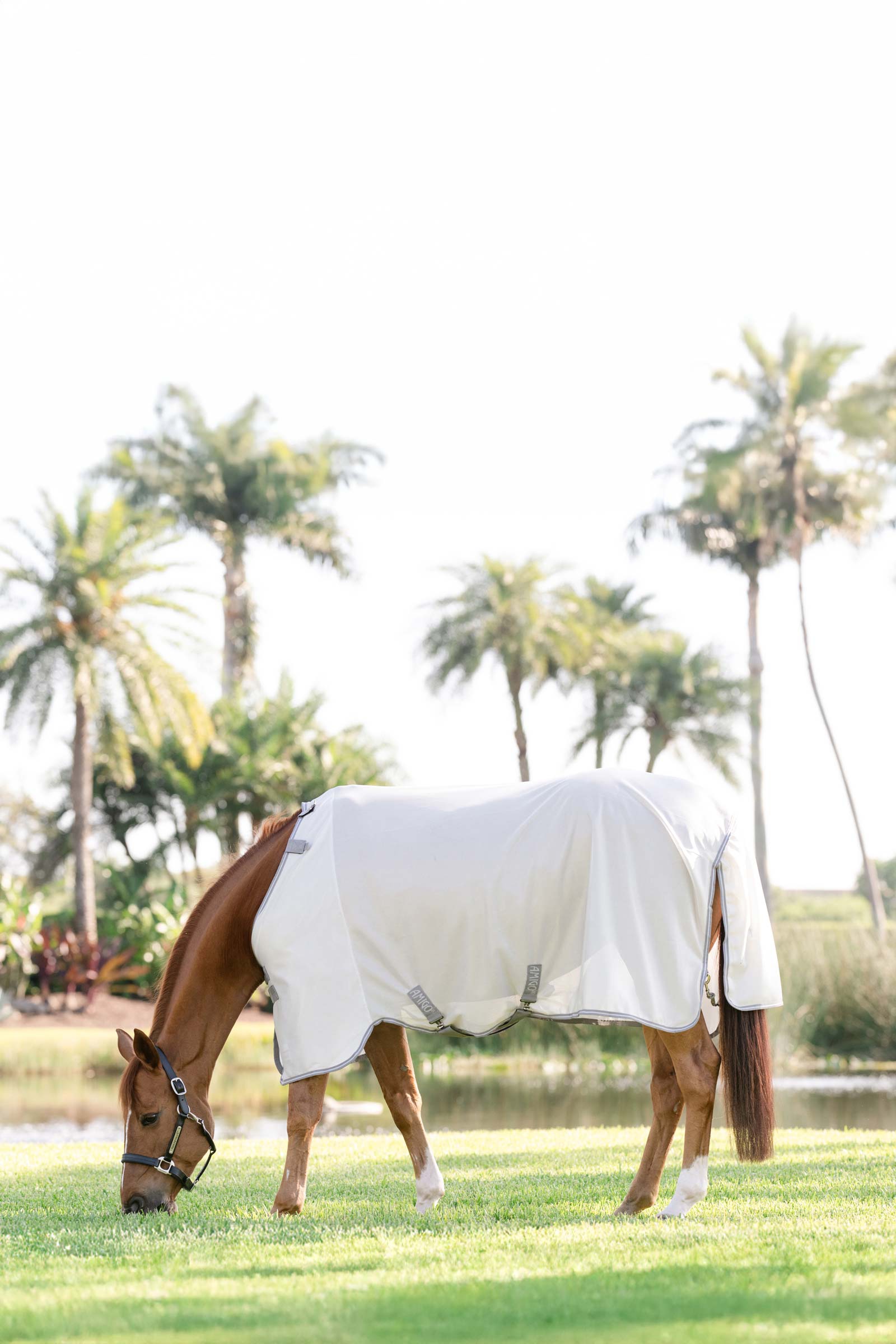 Horseware Amigo flugt&auml;cke med UV-skydd