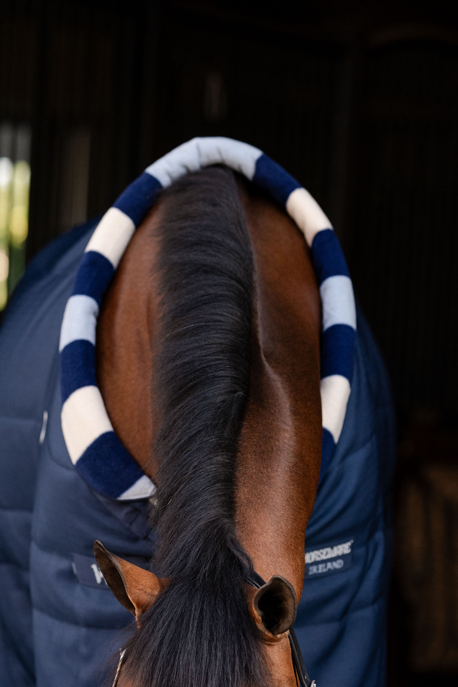 Horseware Newmarket Cosy Stalltäcke 100g