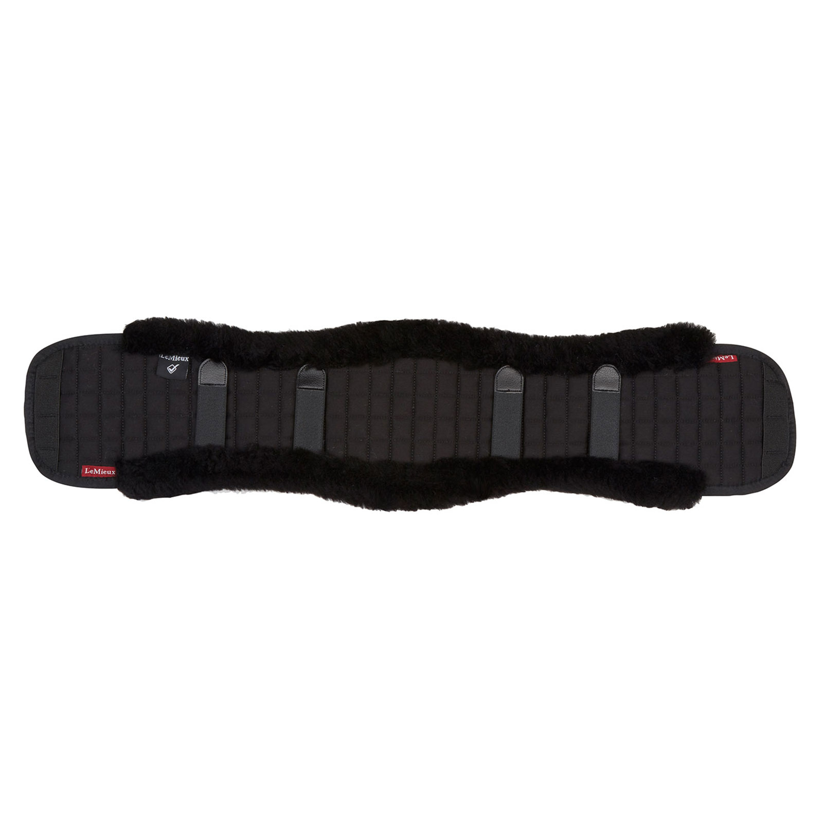 Sadelgjordsskydd, dressyr