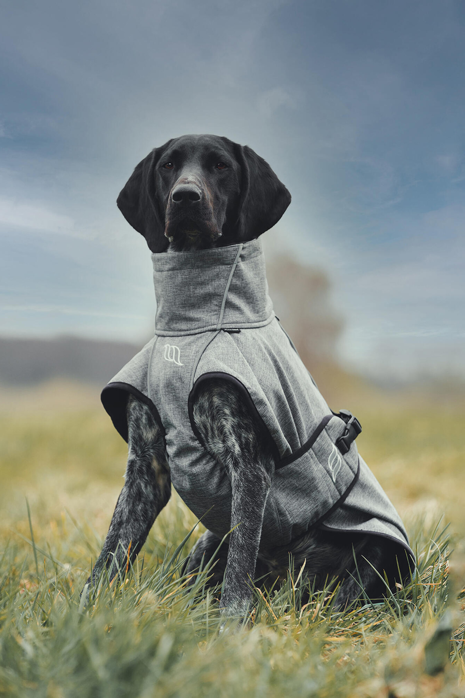 Back on Track Bark Allround Hundtäcke, 70-80cm