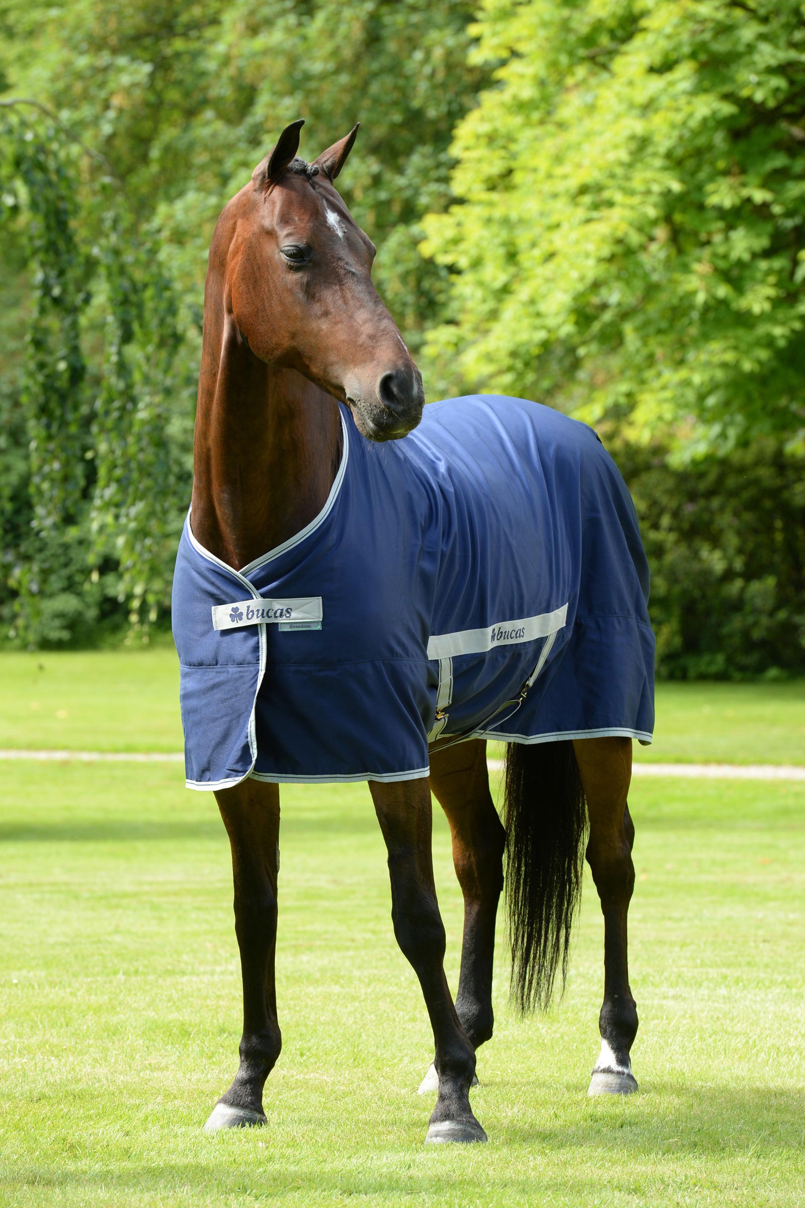 Bucas Freedom Twill Stalltäcke, 0 g