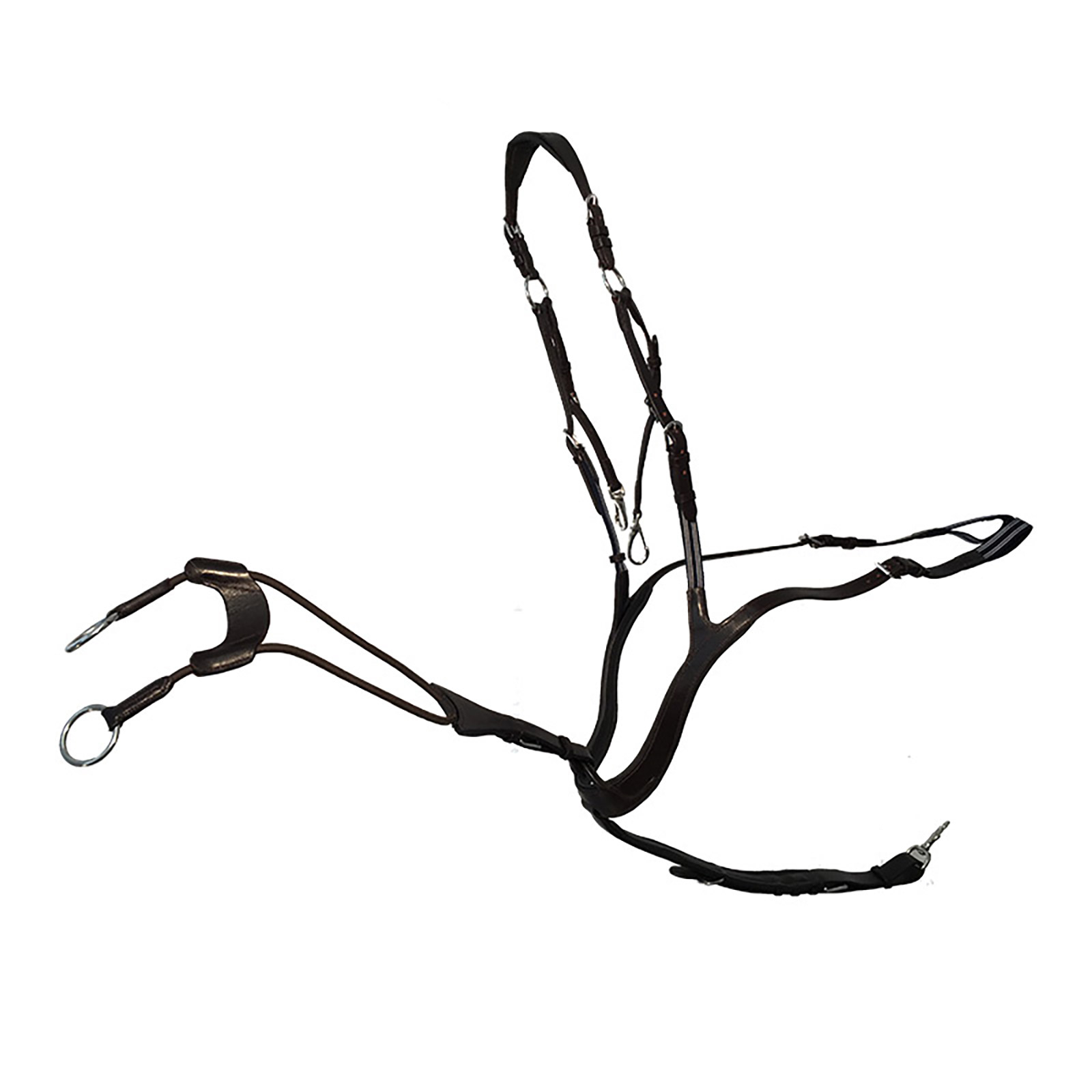 Brown Kavalkade Caya anatomisk förbygel, 5-punkt