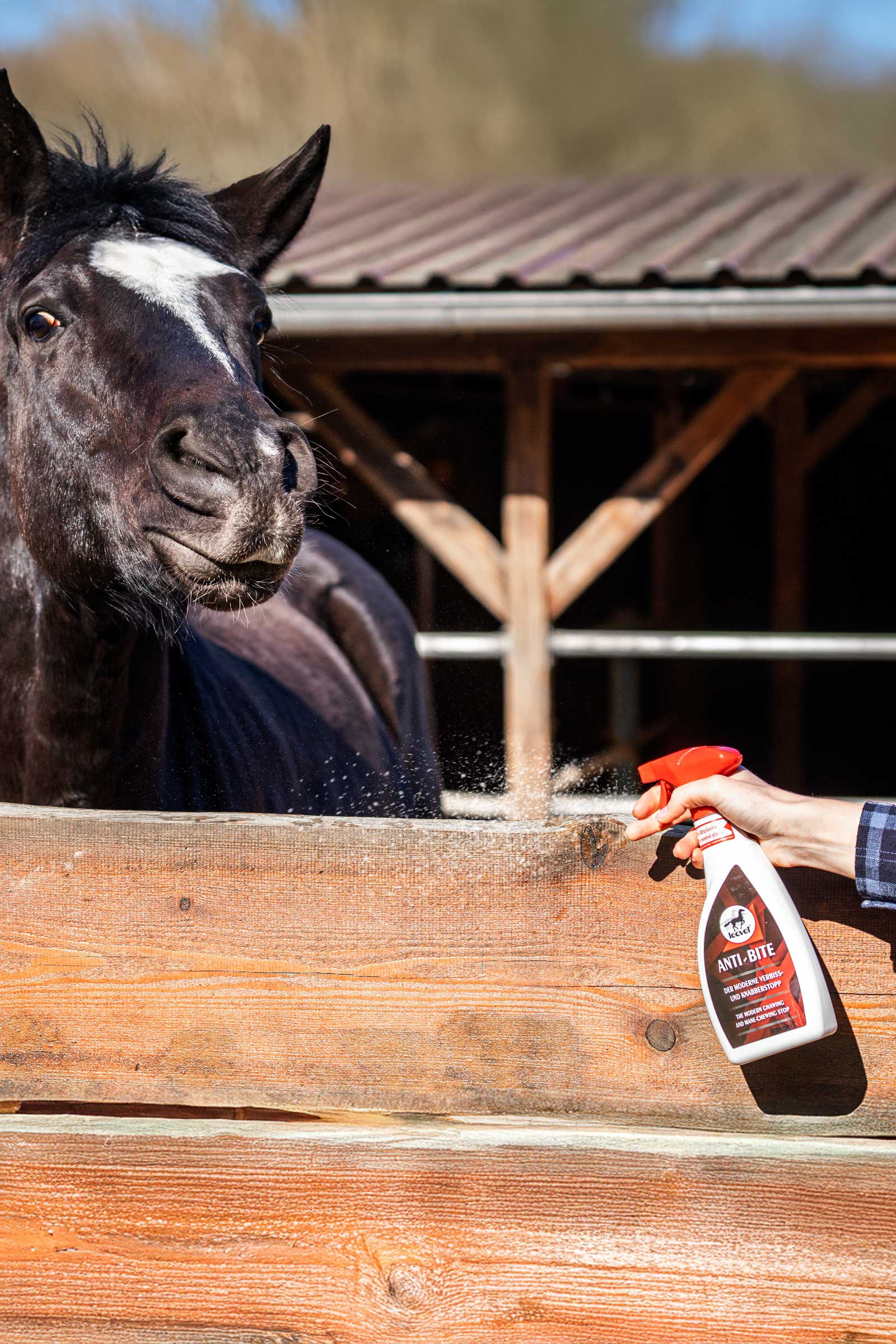 Leovet NoBite, 550 ml (endast SE)