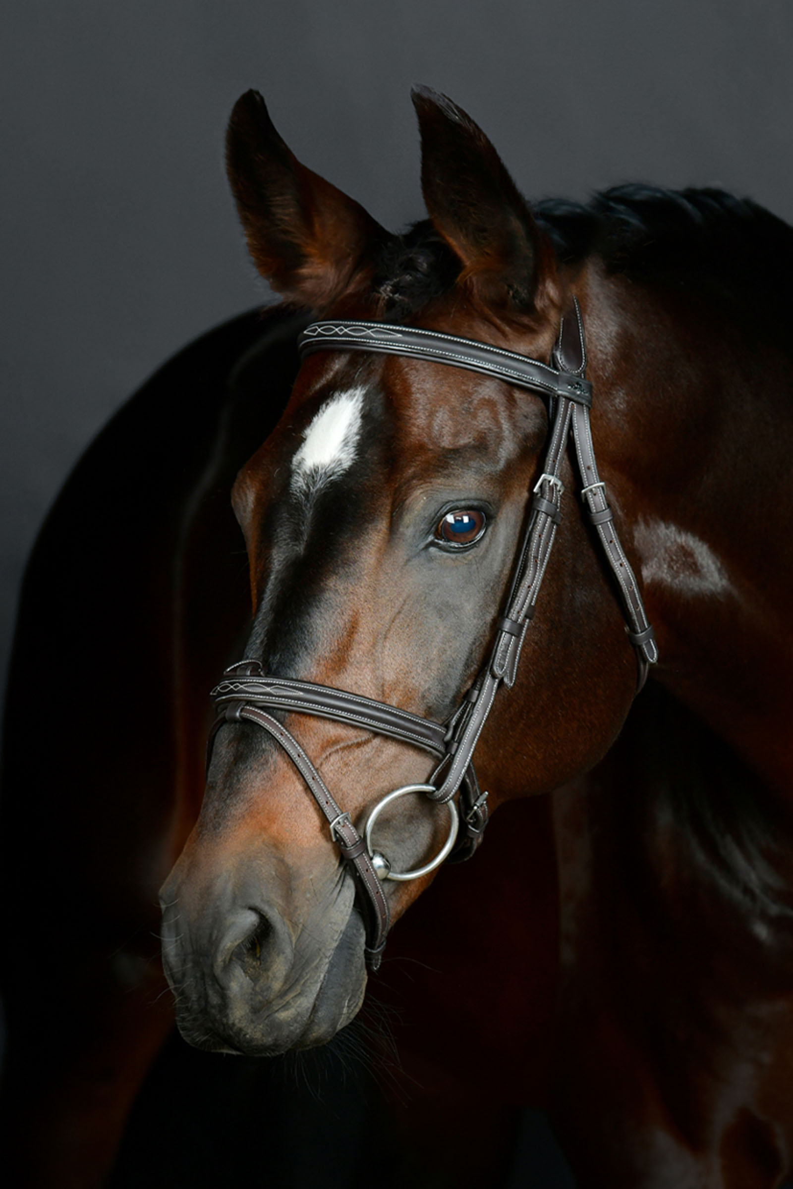 Collegiate Comfitec Opulux Fancy Stitch vadderat hannoveranskt träns