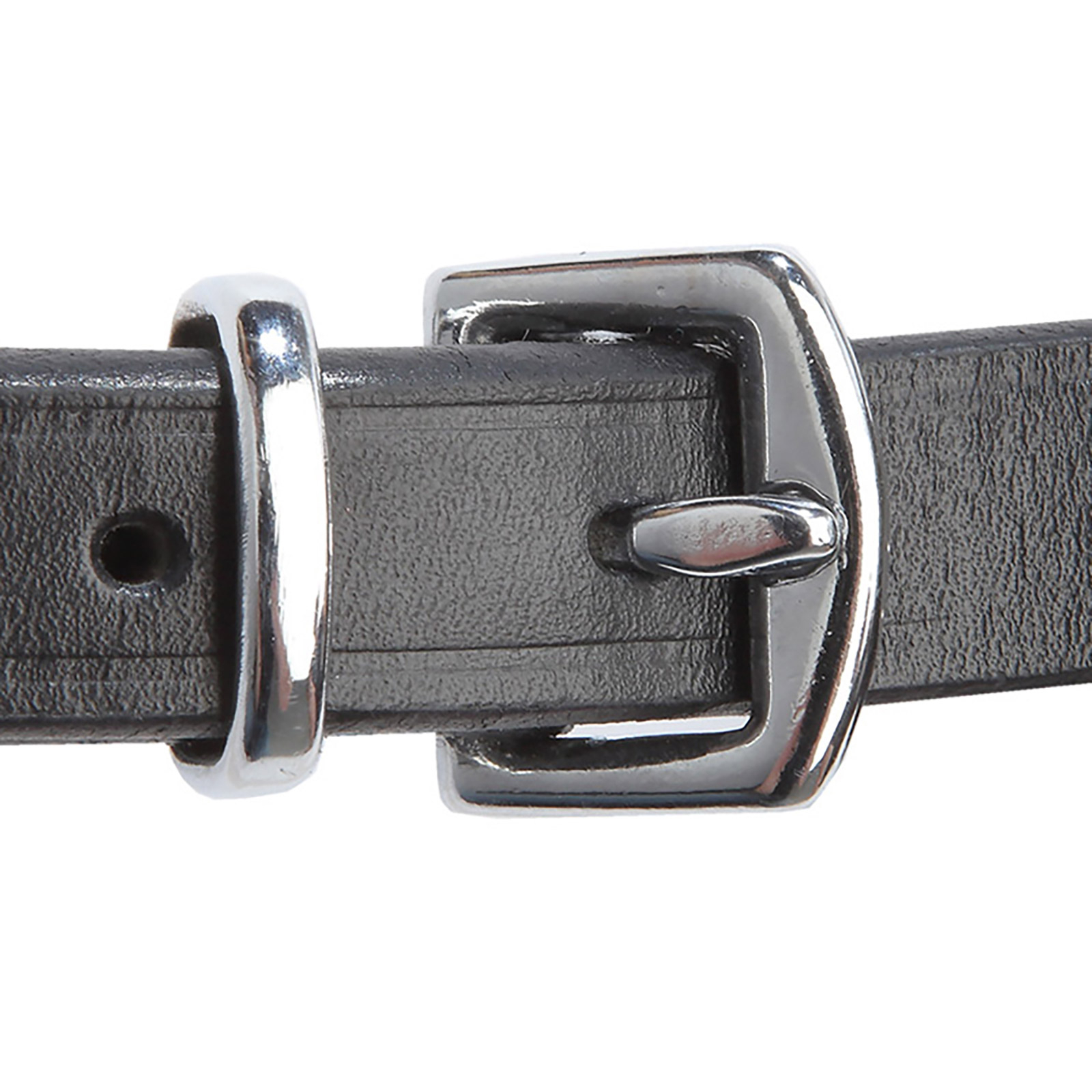 Kavalkade Isabella träns med remontnosgrimma