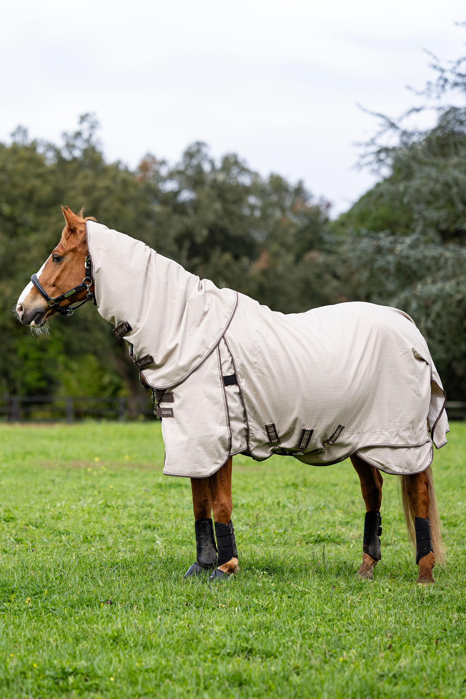 LeMieux Kudos utet&auml;cke