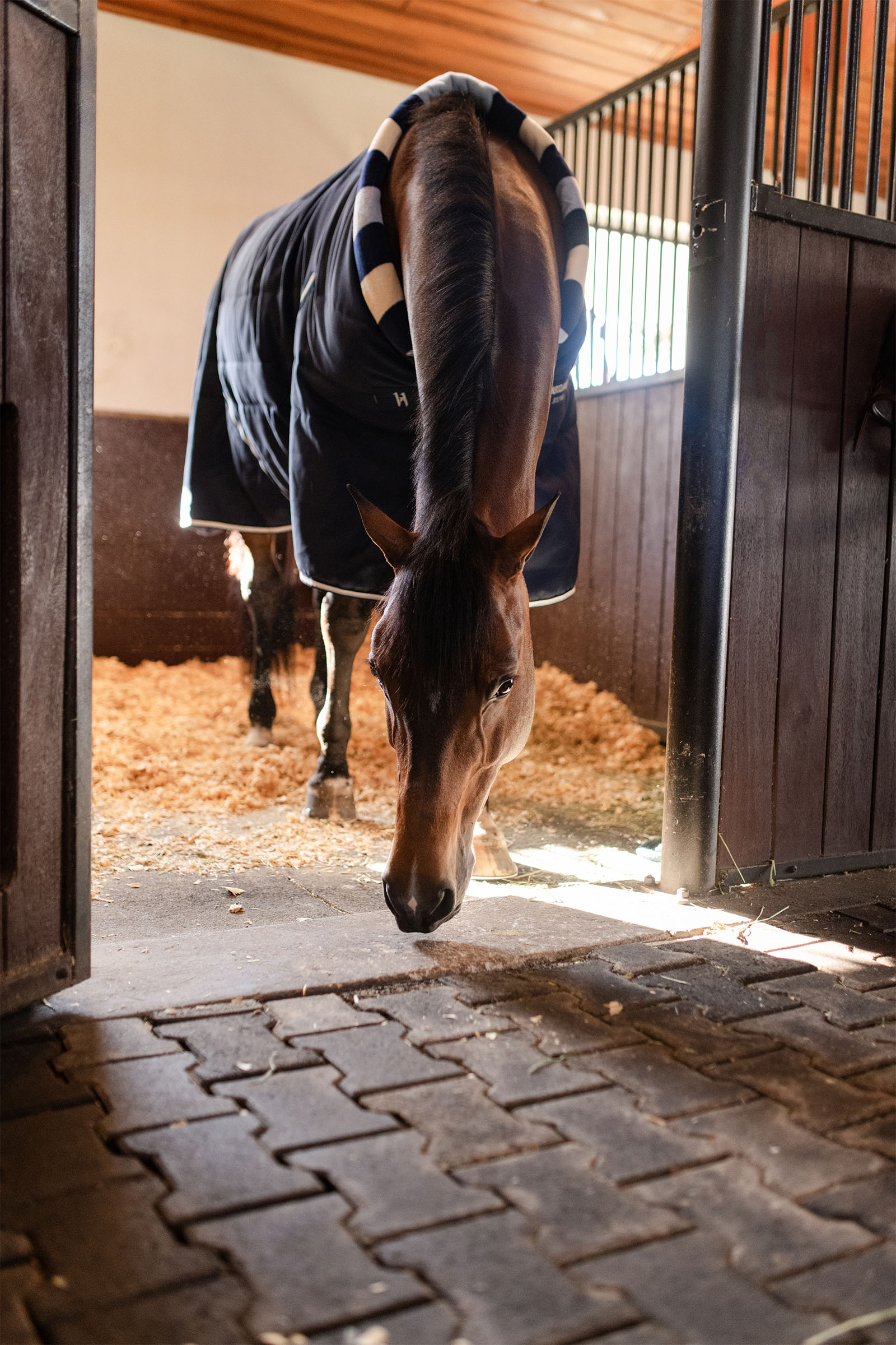 Horseware Newmarket Cosy Stalltäcke 100g