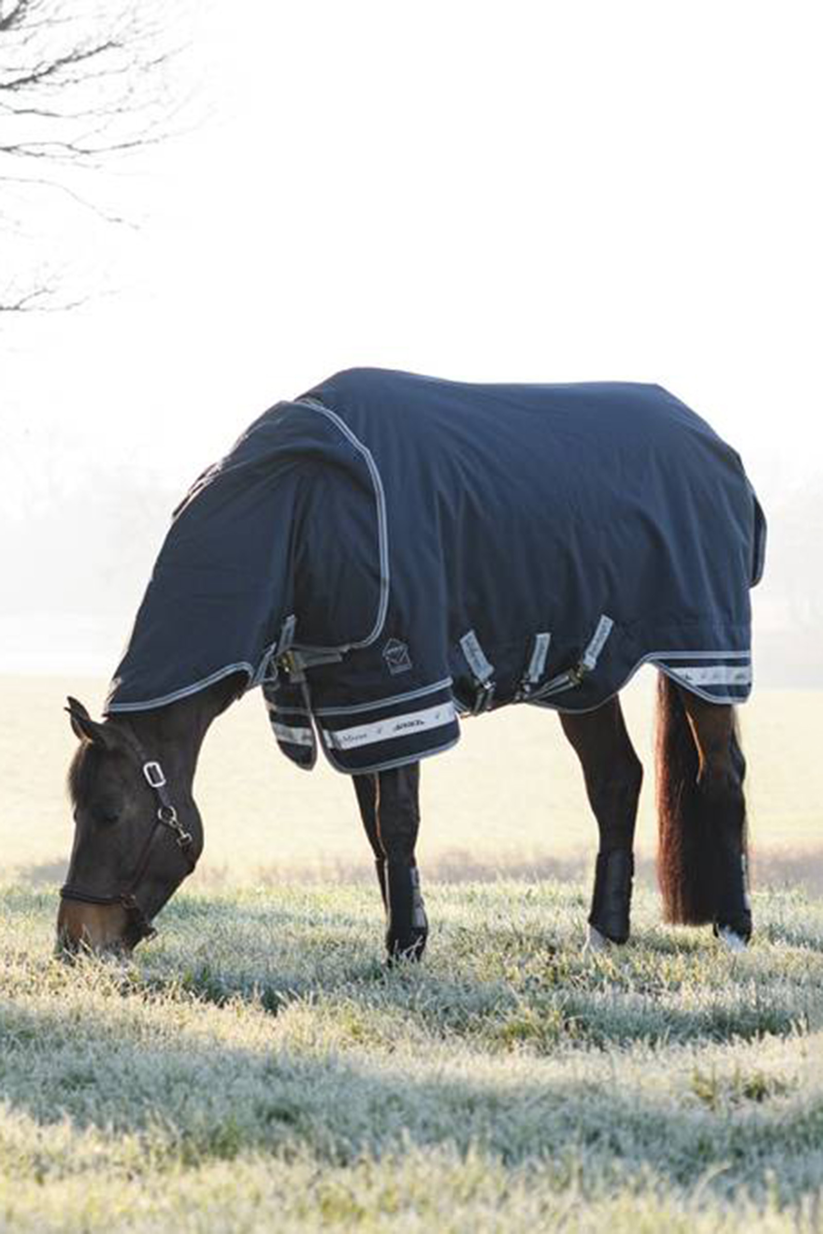 LeMieux Arika Storm-Tek Lightweight Turnout Rug, 100g