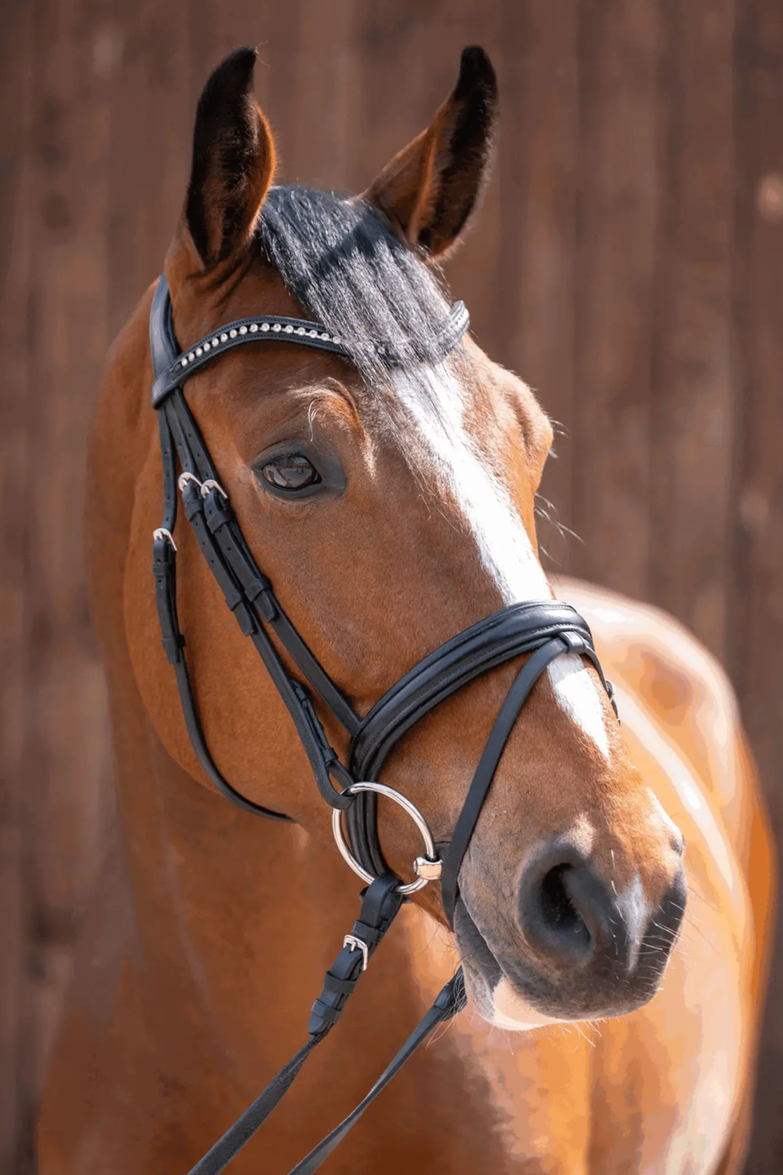 Sprenger Novocontact bett med l&ouml;sa ringar 14mm enkelledat Sensogan med 70mm ringar i rostfritt st&aring;l