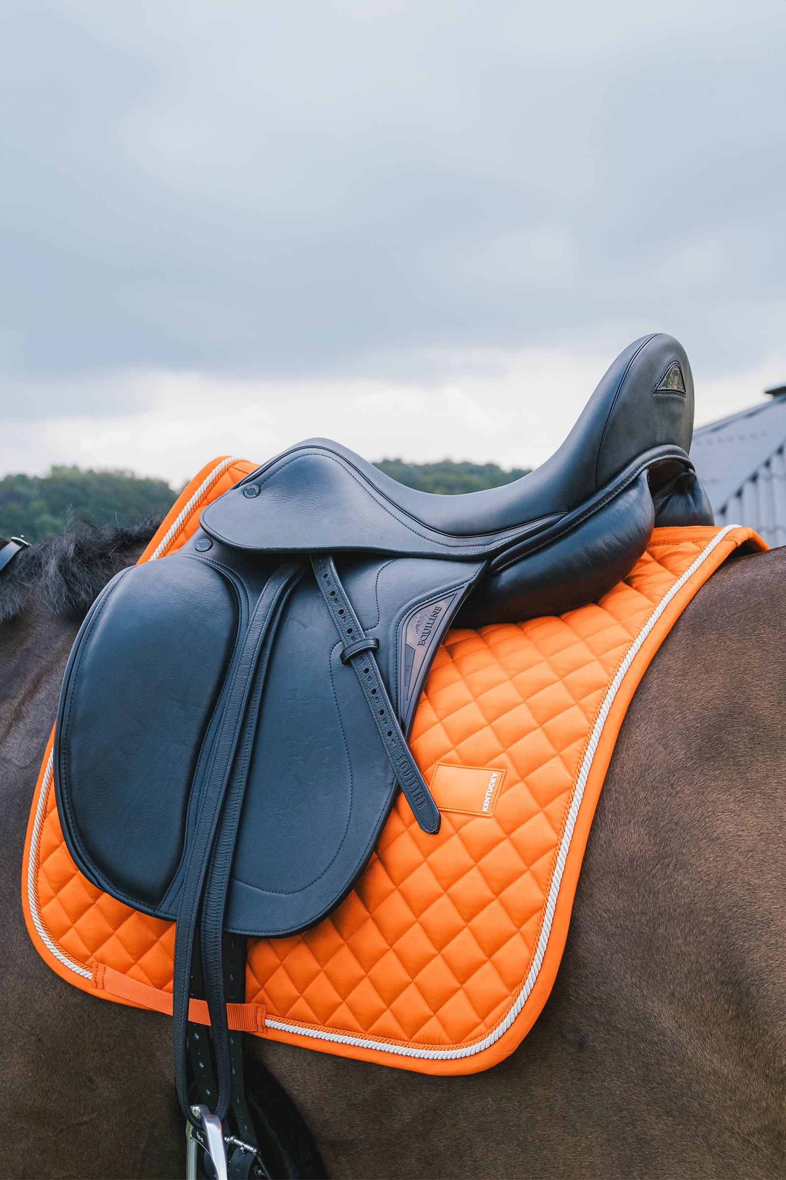 Kentucky Horsewear dressyrschabrak Diamond Rope