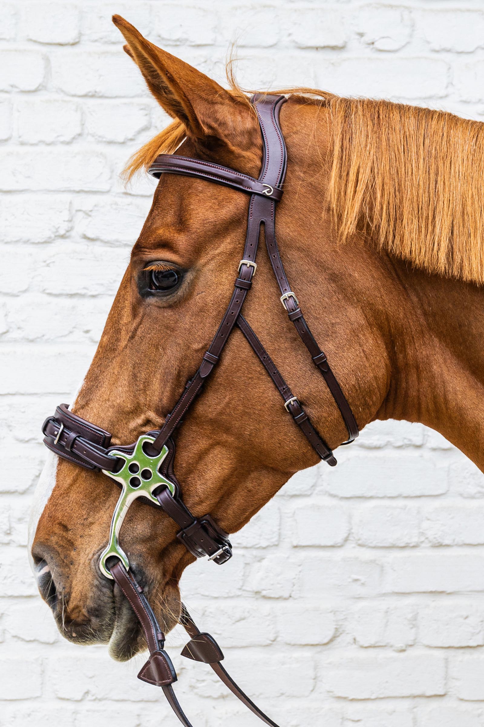 Dy'on New English Collection hackamore tr&auml;ns  