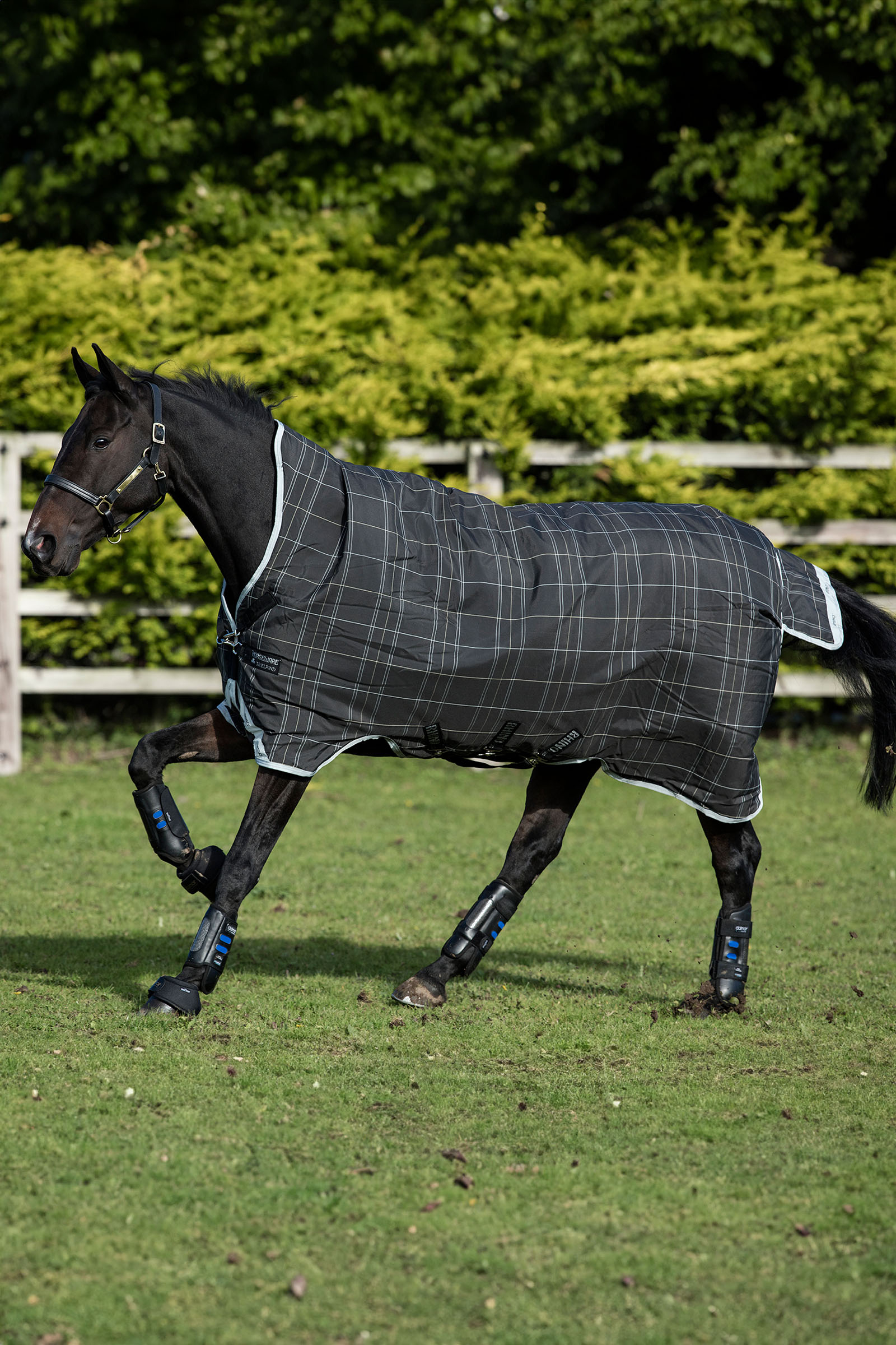 Black/Grey/White Check & Gray Horseware Rhino Wug utetäcke, 100 g