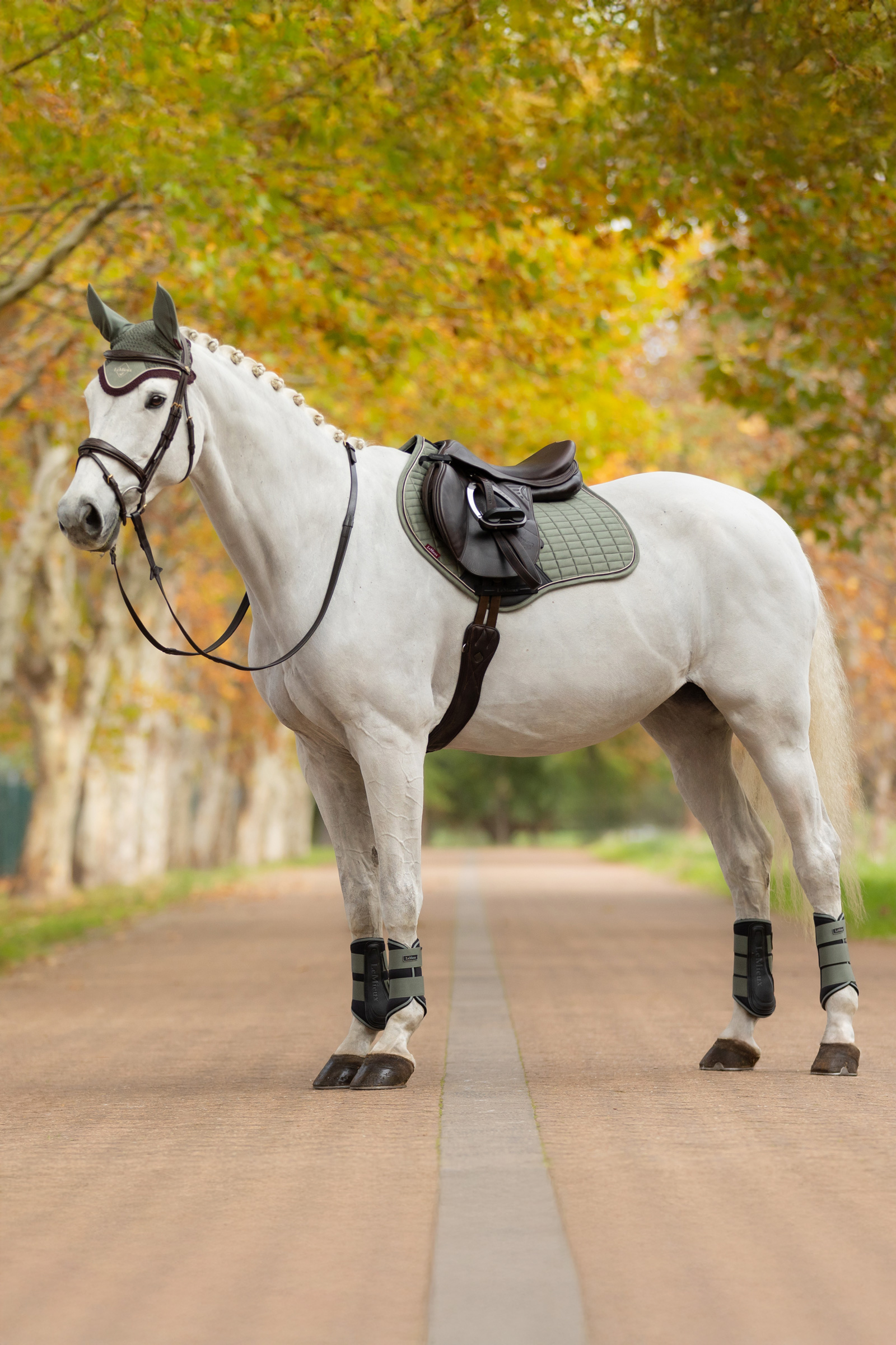 LeMieux Suede Square CC Hoppschabrak