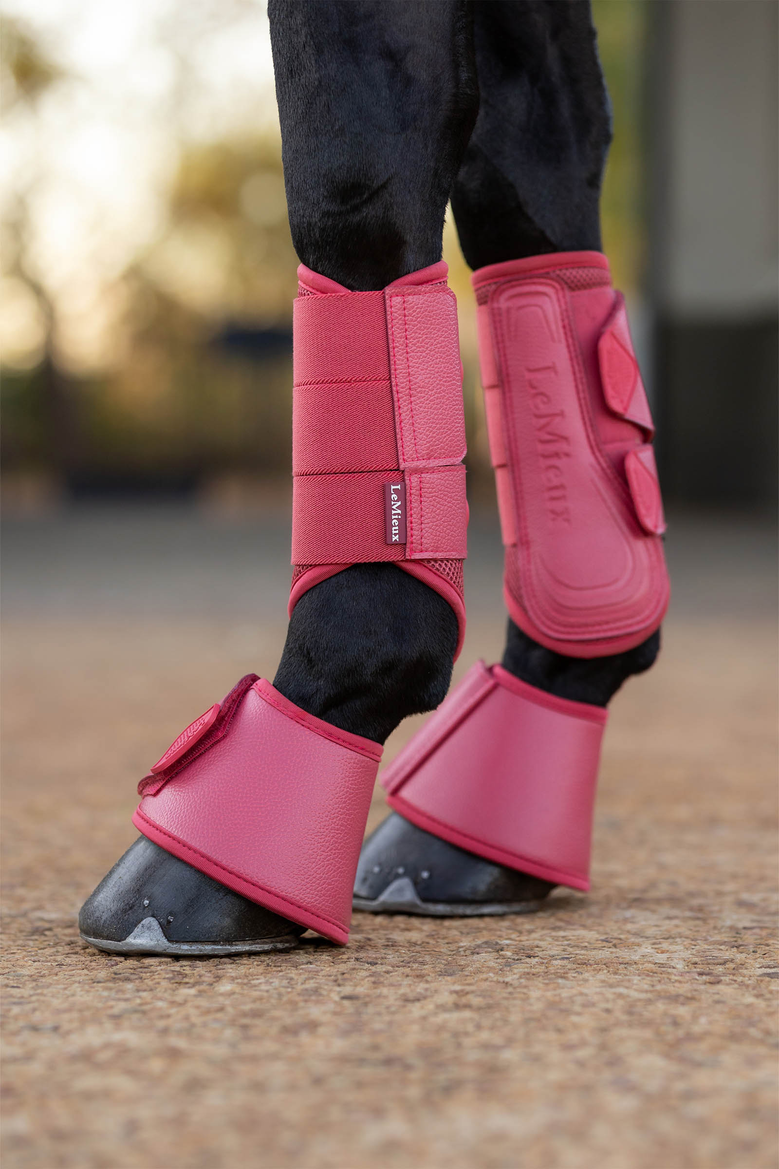 Cranberry LeMieux Arika hovboots