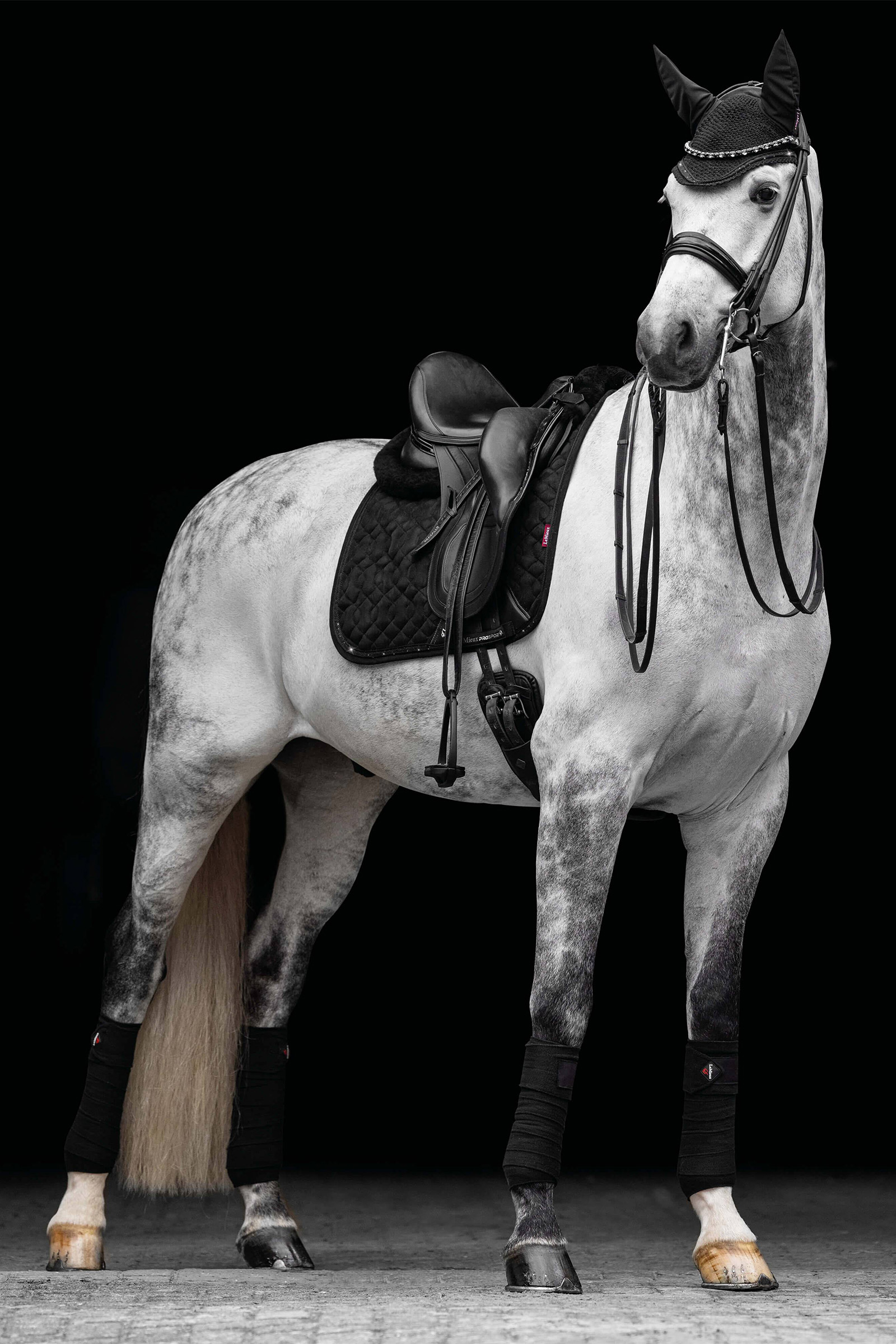 LeMieux Crystal Mocka dressyrschabrak