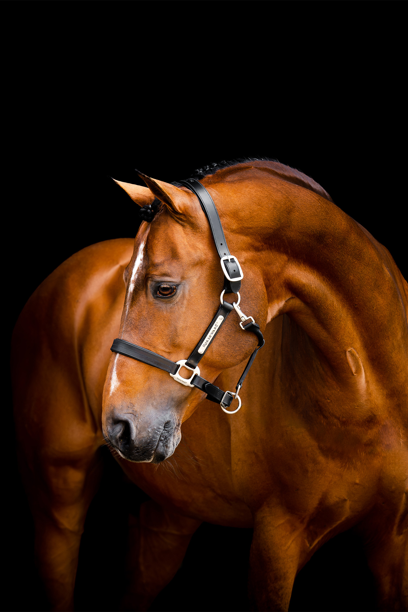 Horseware Signature läderhalare