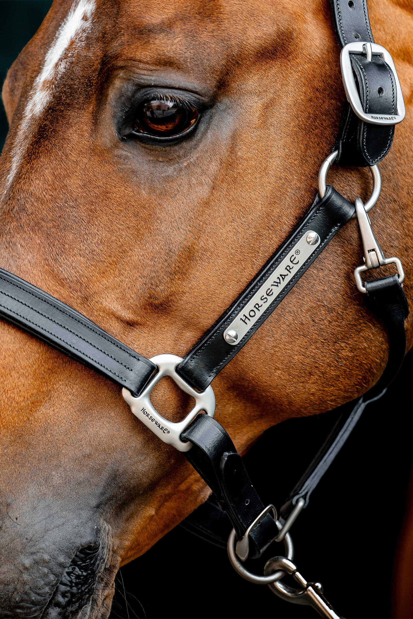 Horseware Signature läderhalare