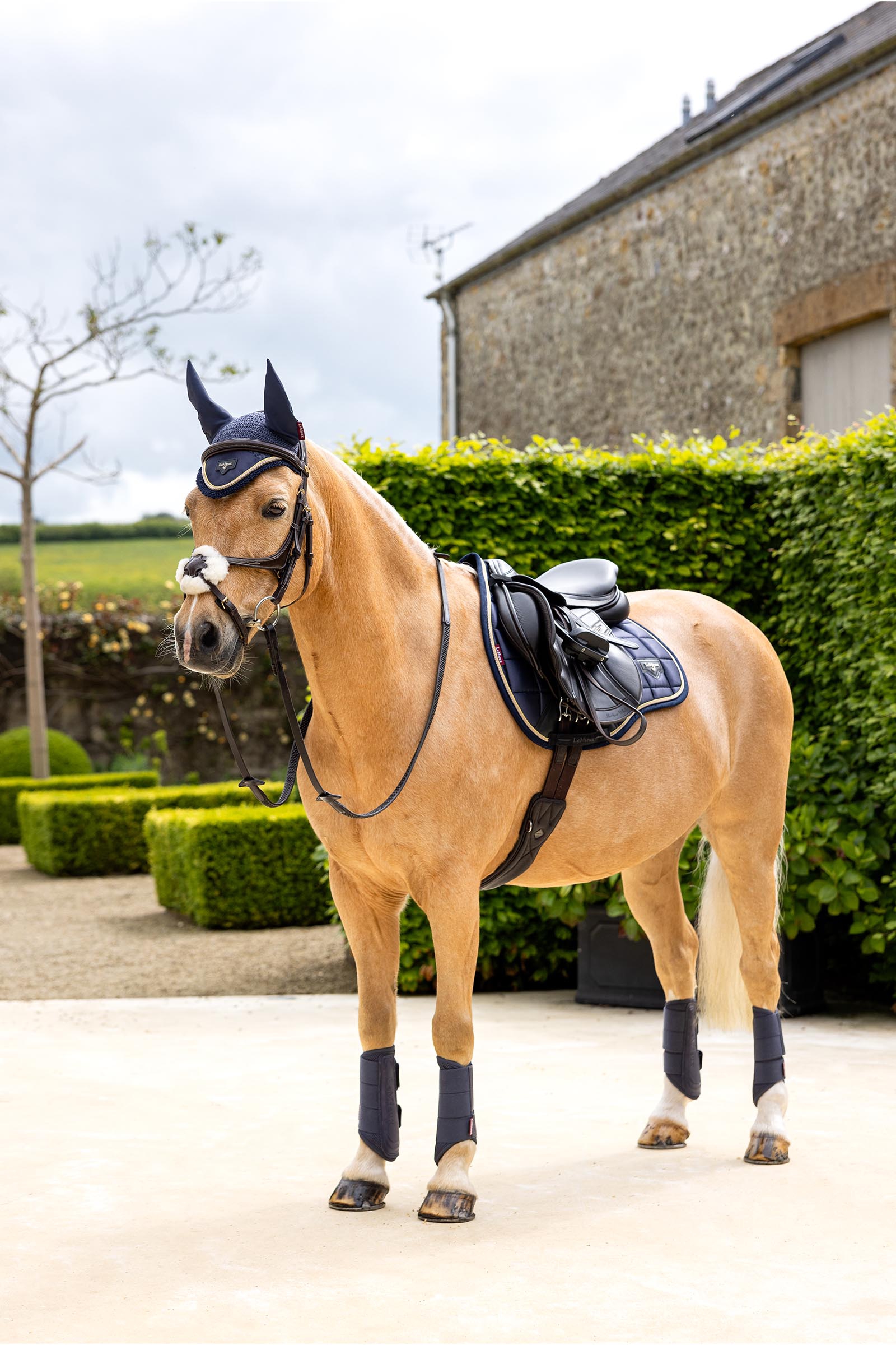 LeMieux Loire Classic Square allround schabrak