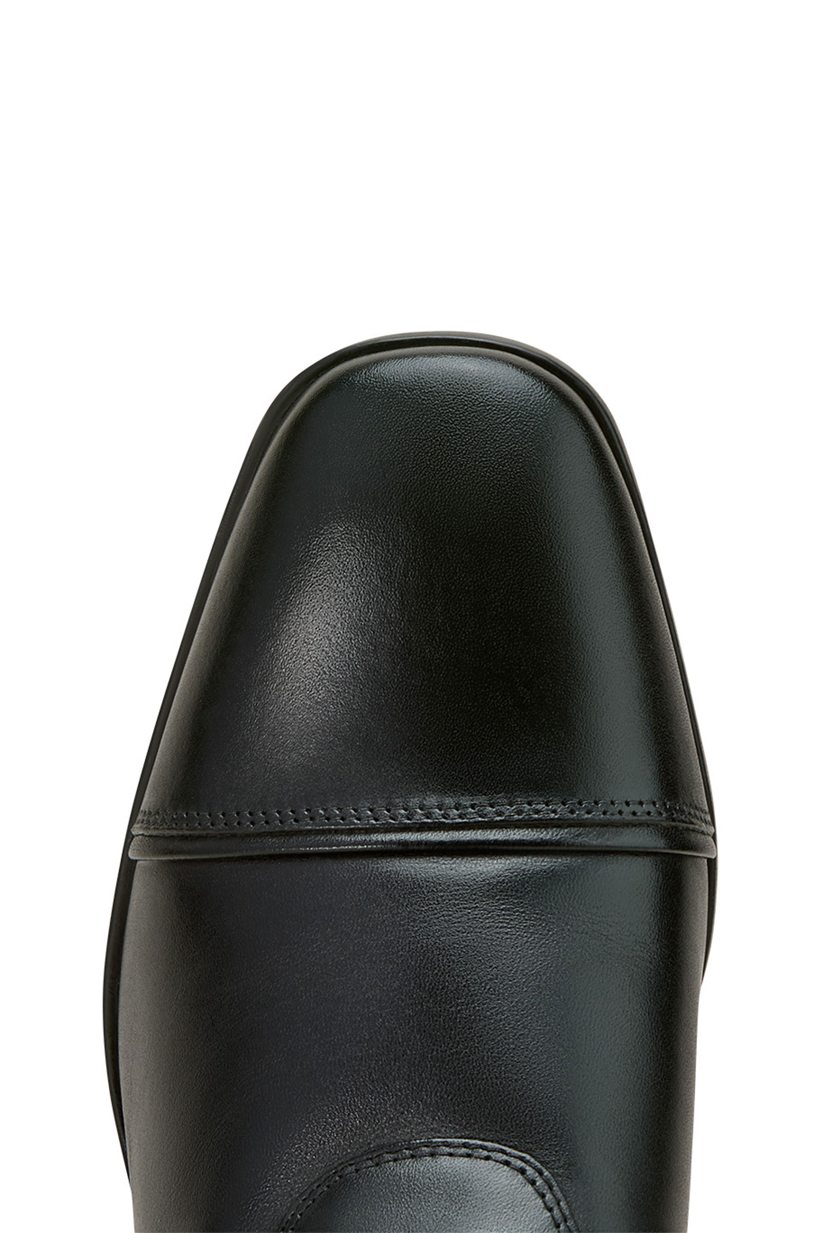 Ariat Palisade dam-dressyrridstövlar  