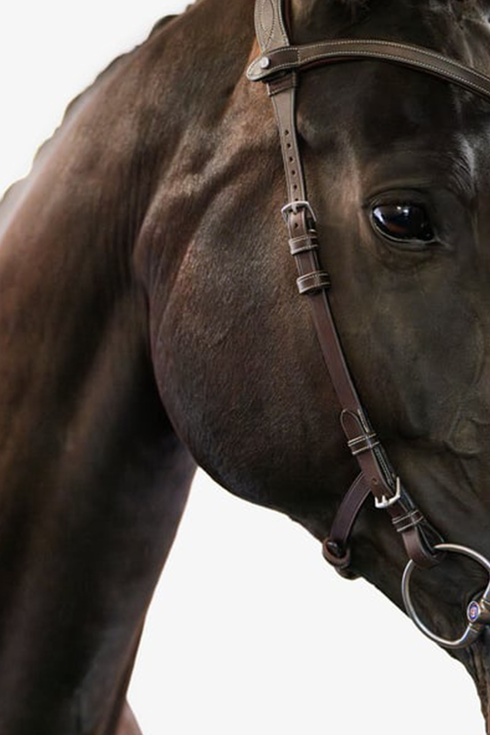 PS of Sweden Helsinki Träns