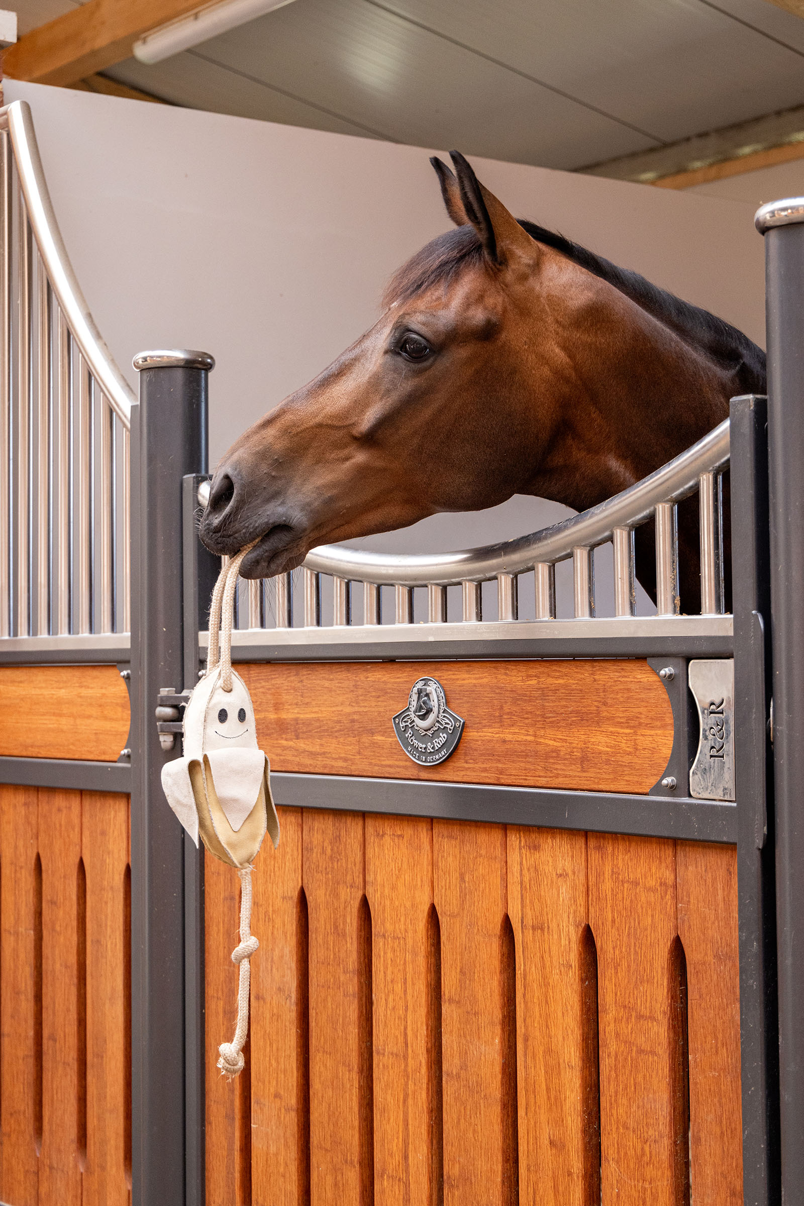 LeMieux h&auml;stleksak