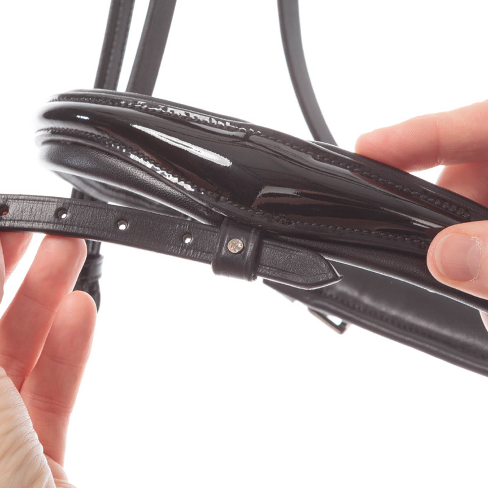 Kavalkade Reyna KavalSH4 tr&auml;ns