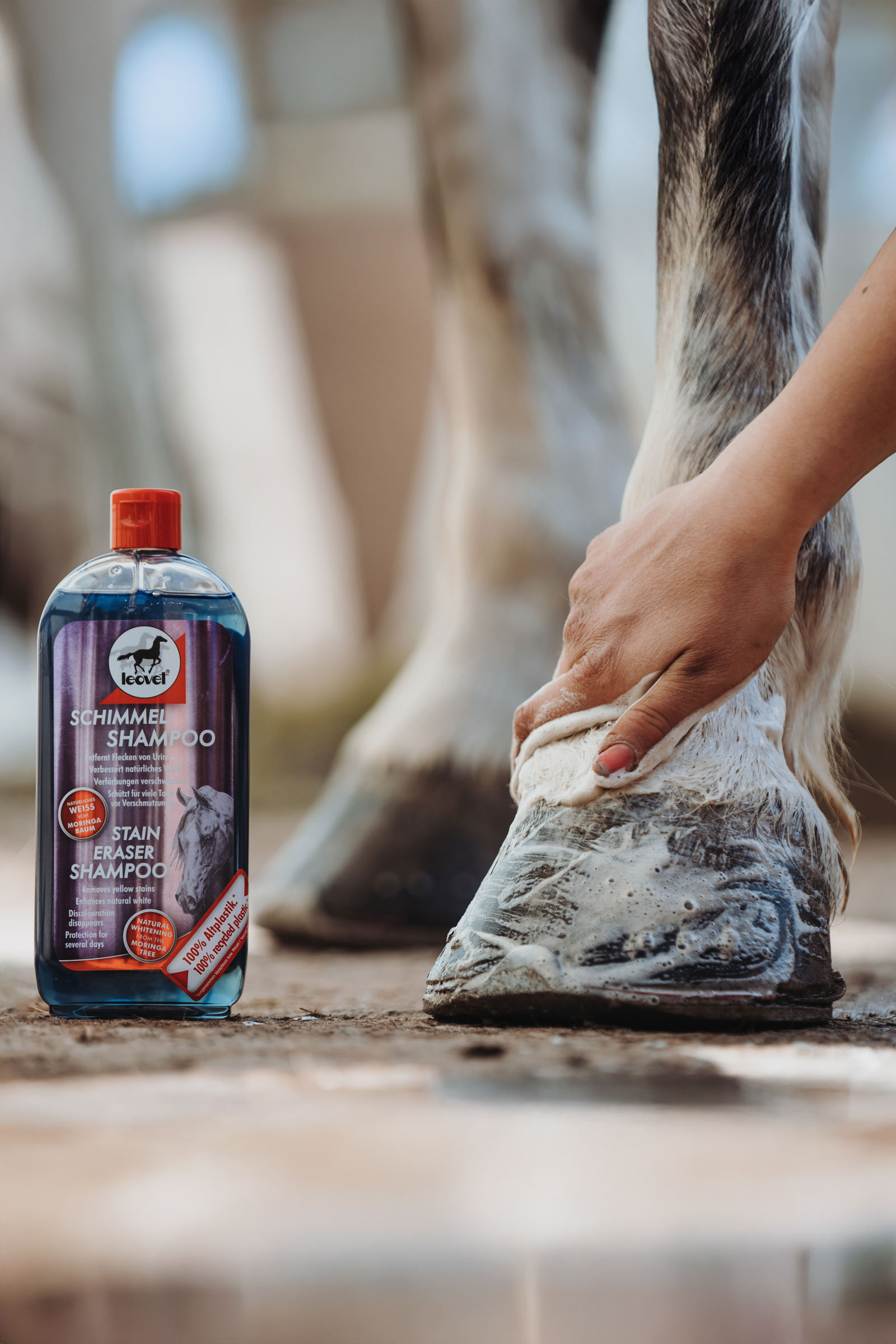 Leovet Stain Eraser Shampoo