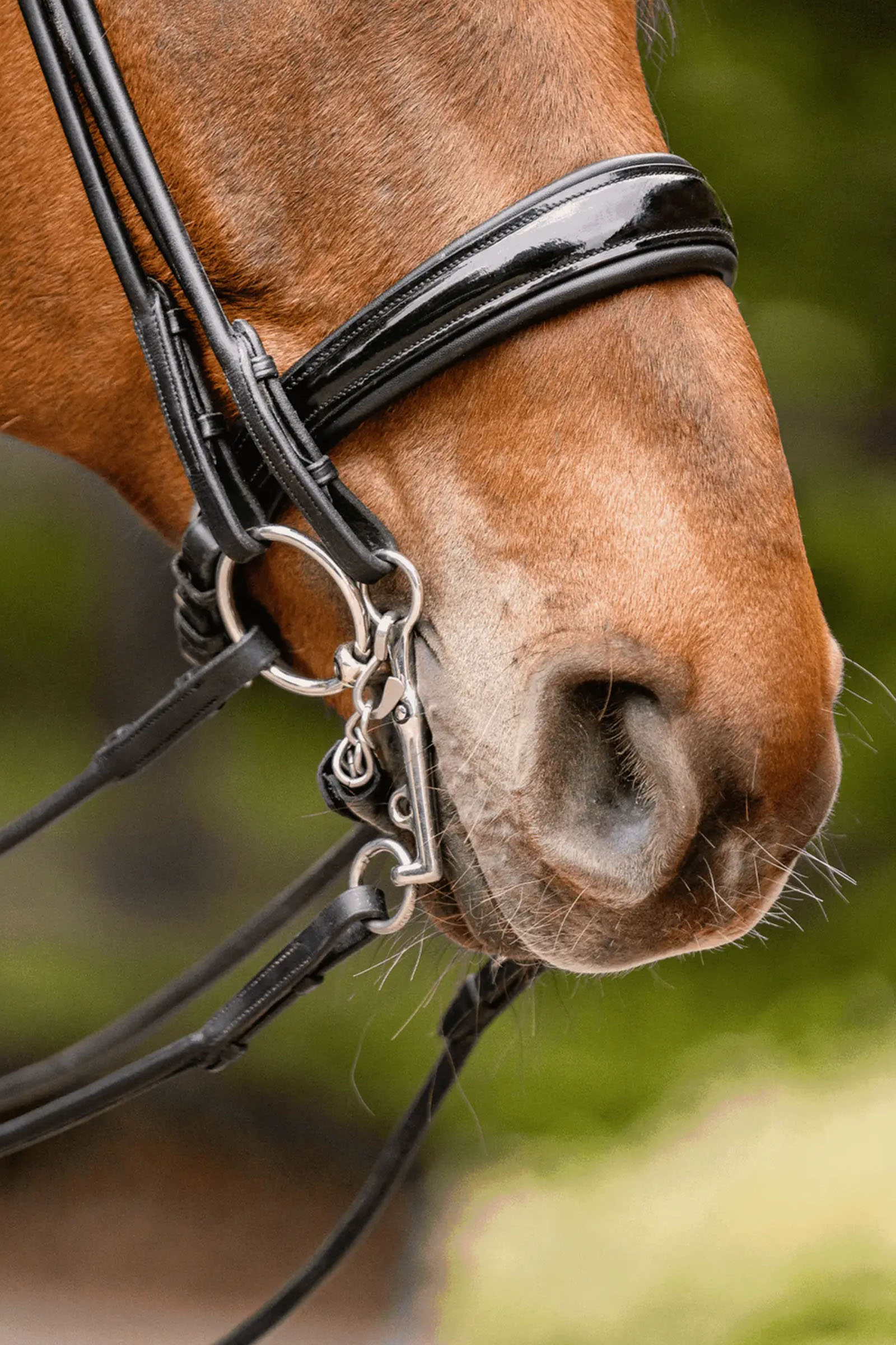 Sprenger Novocontact Weymouth 14mm Sensogan med 5cm rostfria skänklar