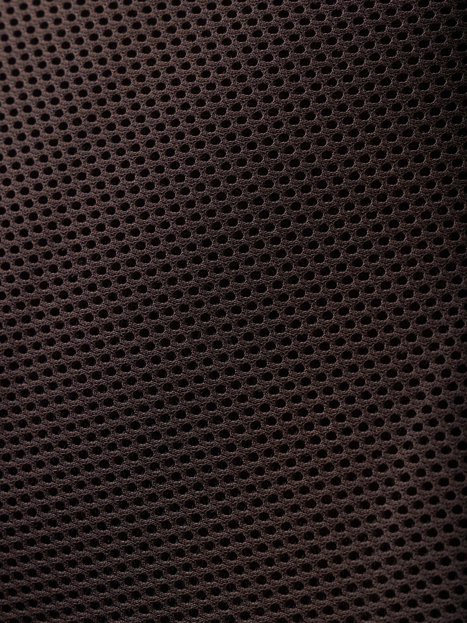 LeMieux Prosorb 3-fickor vadderad halvpad