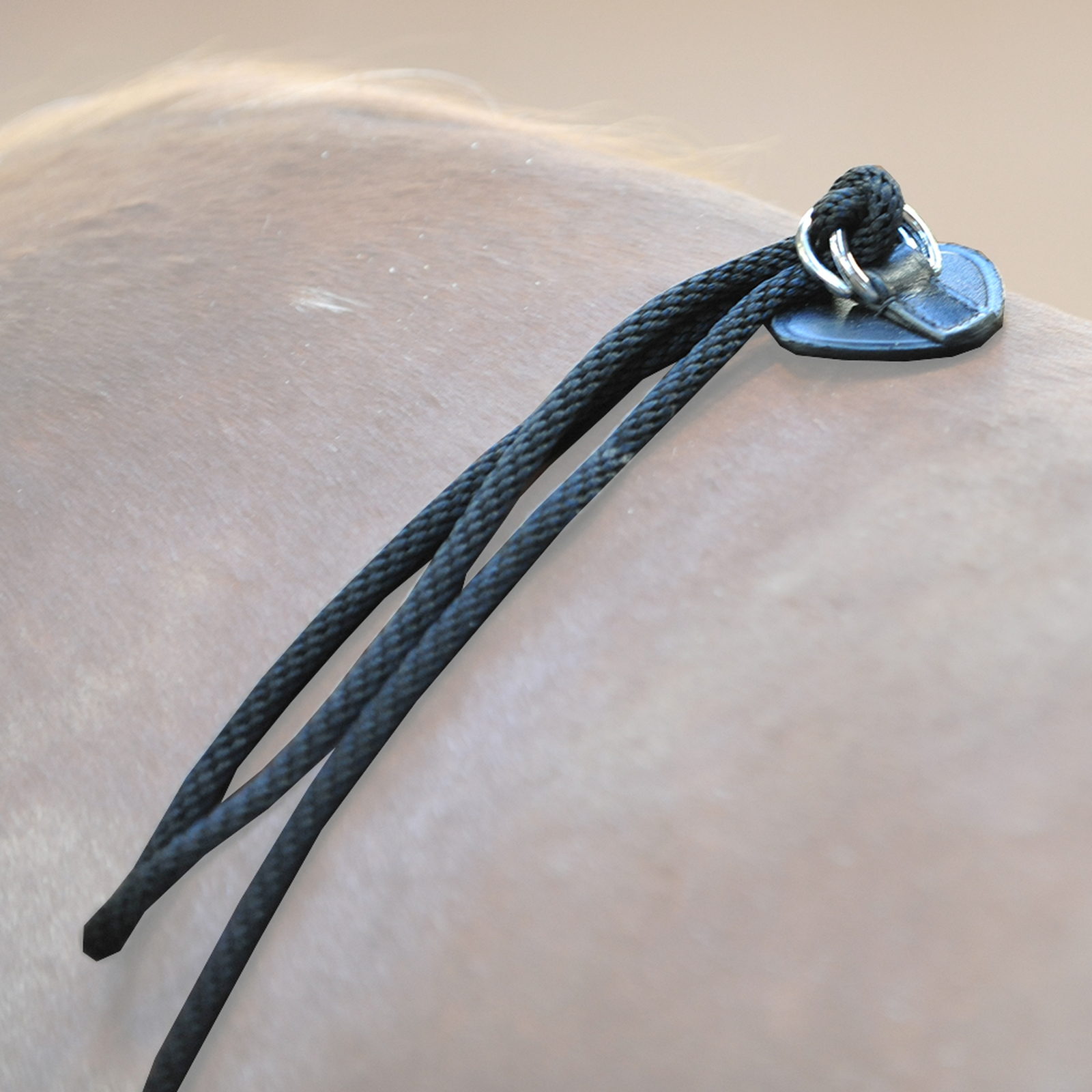 Kavalkade HO longerhjälp