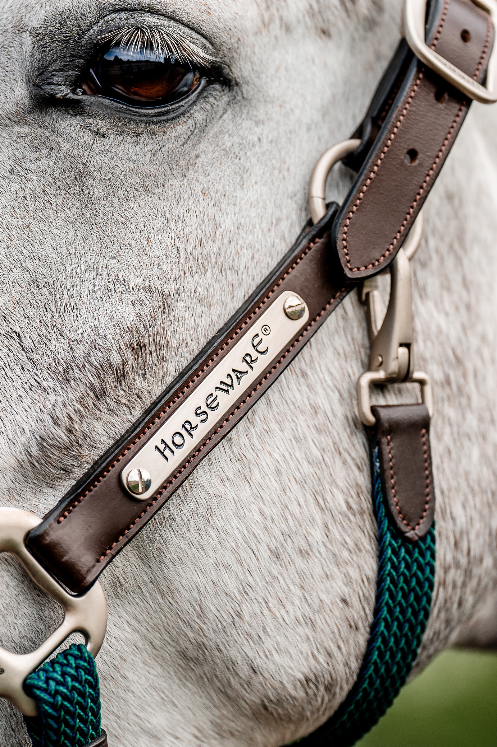 Horseware Signature flätad grimma