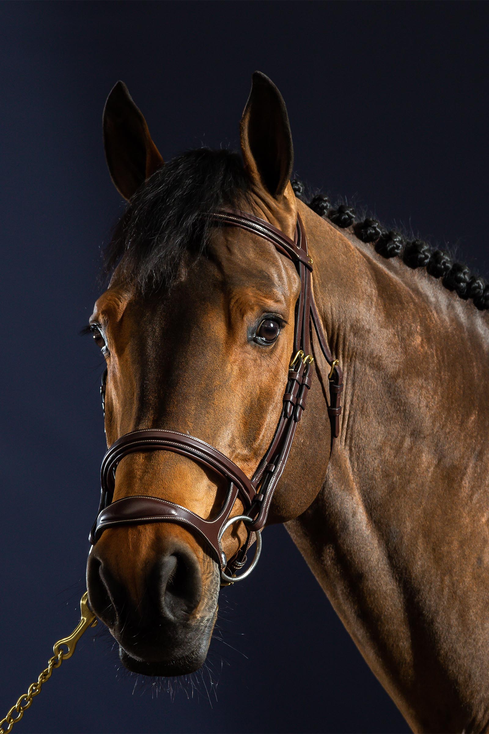 Dy'on D Collection träns med dubbla nosgrimmor