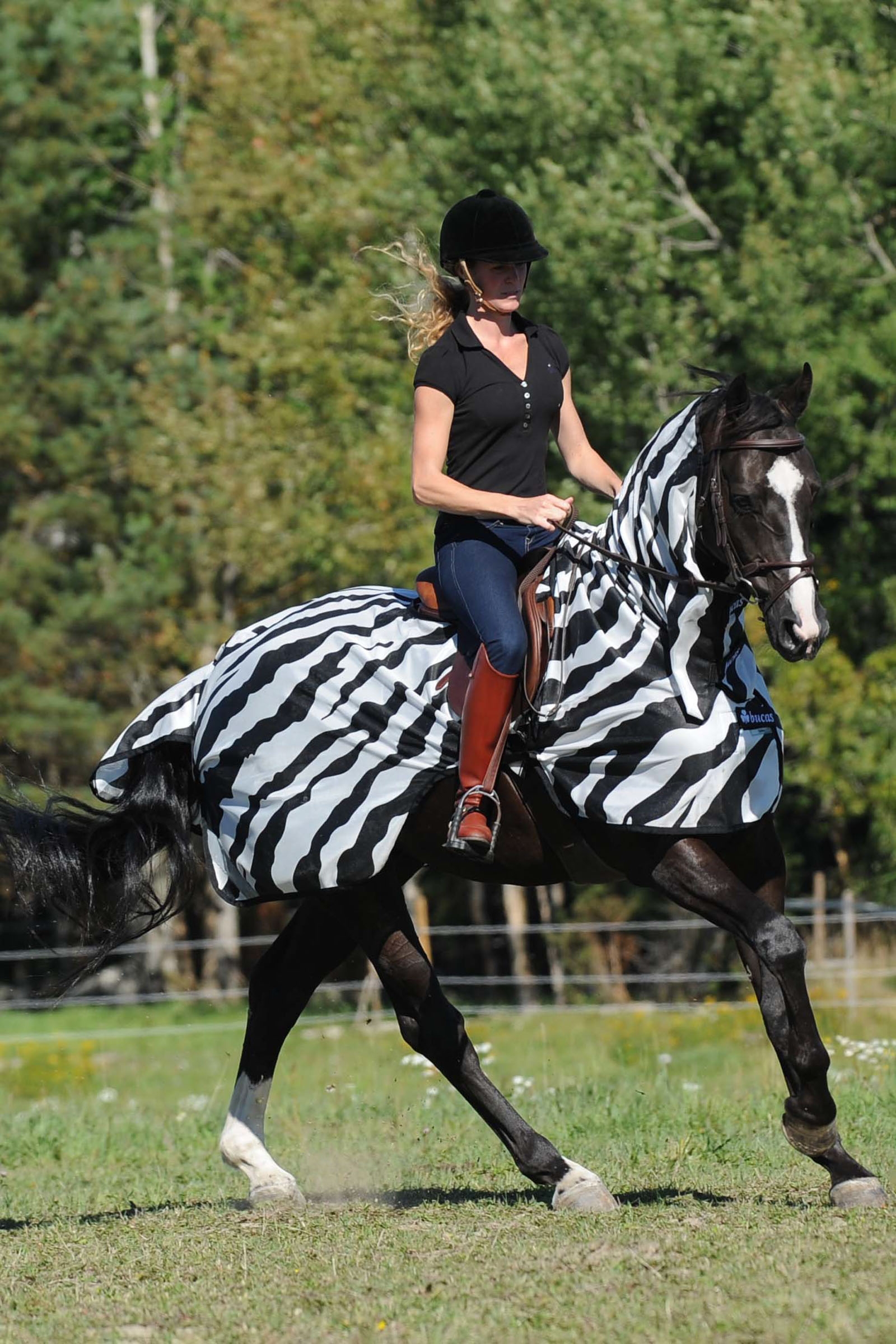Buzz-Off Riding Zebra täcke