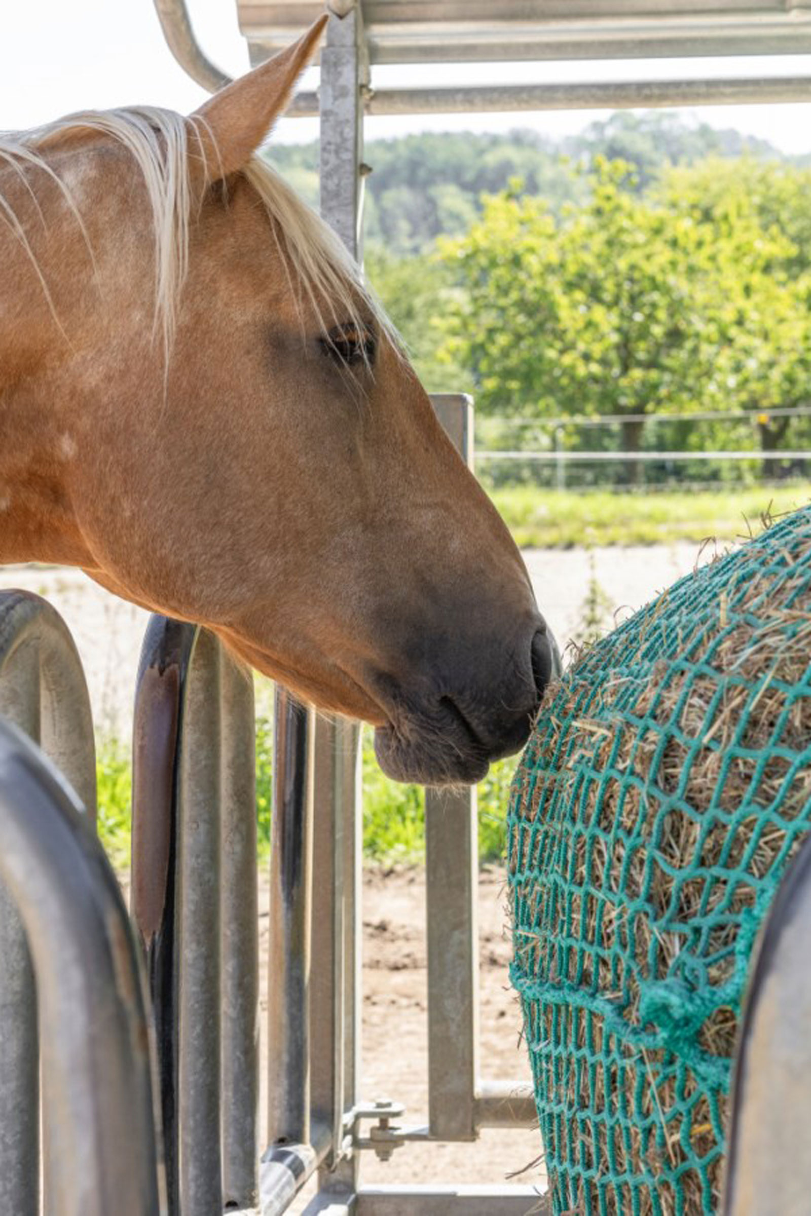 Kerbl h&ouml;n&auml;t f&ouml;r rundbalar, h&auml;ngande