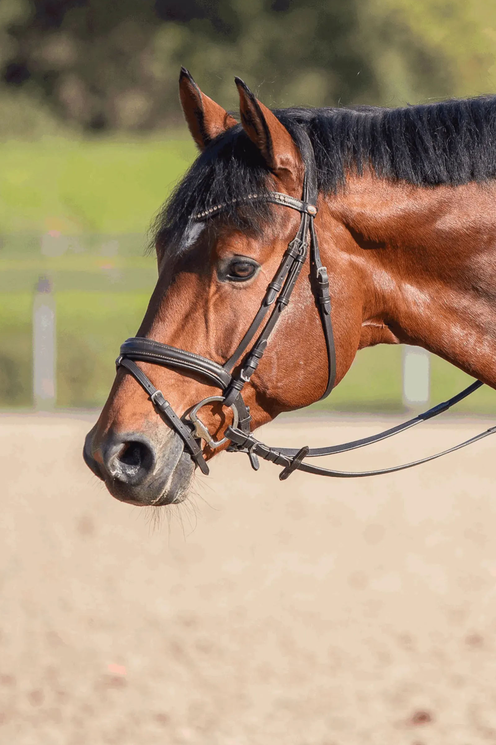 Sprenger Novocontact Eggbett 14mm Enkelledat Sensogan Med D-Formade Ringar