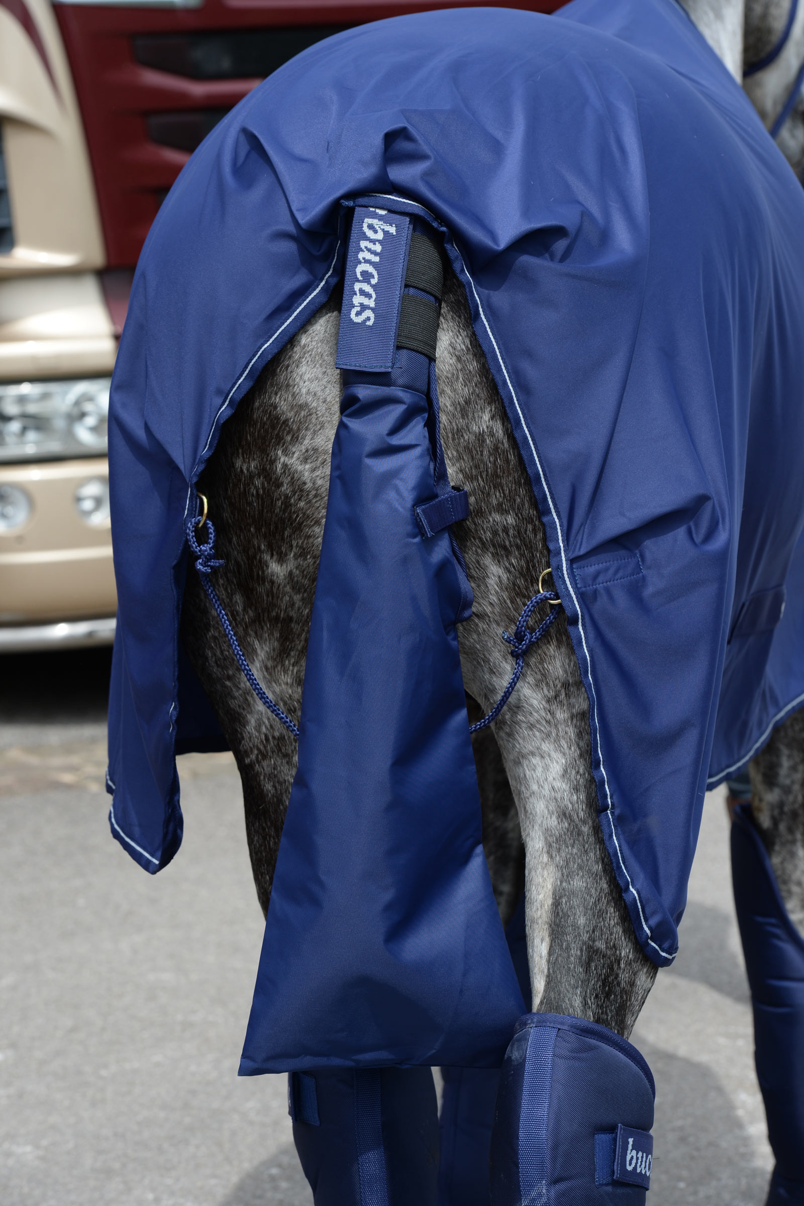 Bucas Svansskydd & Svansväska