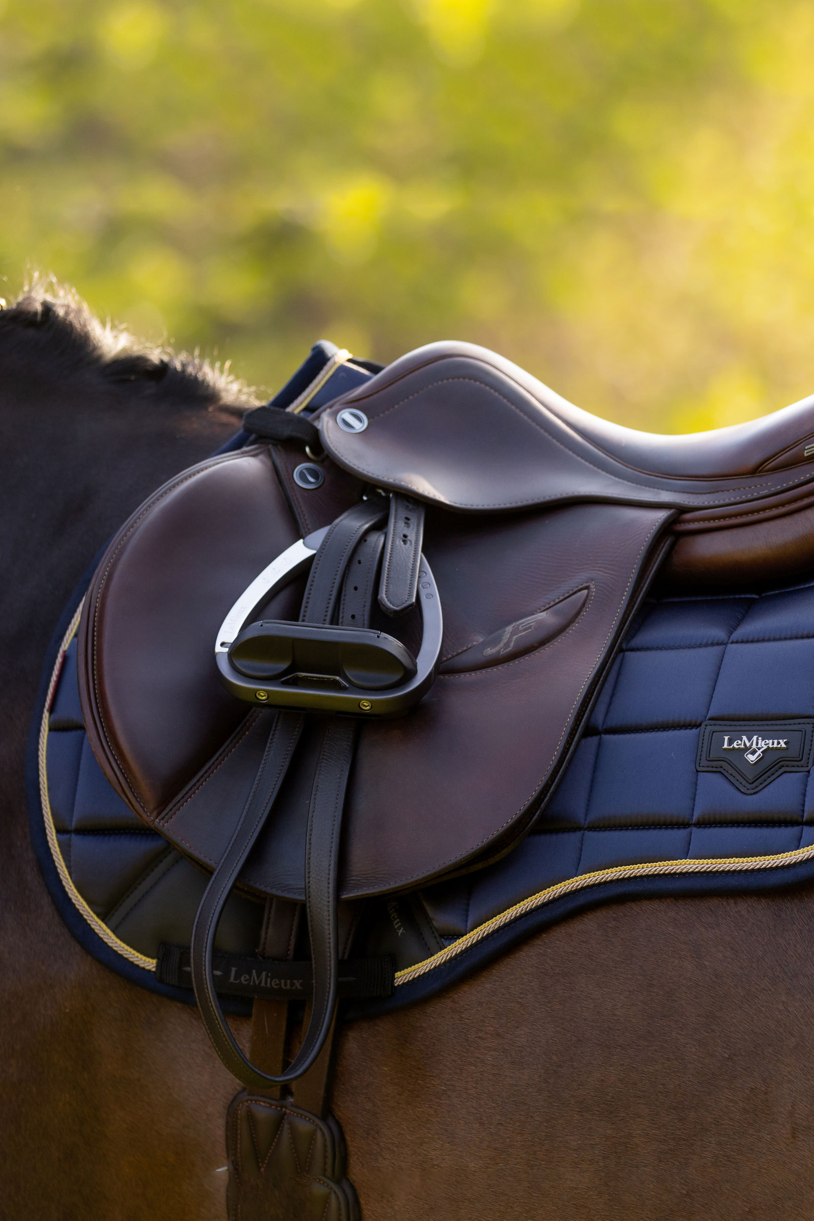 LeMieux Loire Classic Square allround schabrak