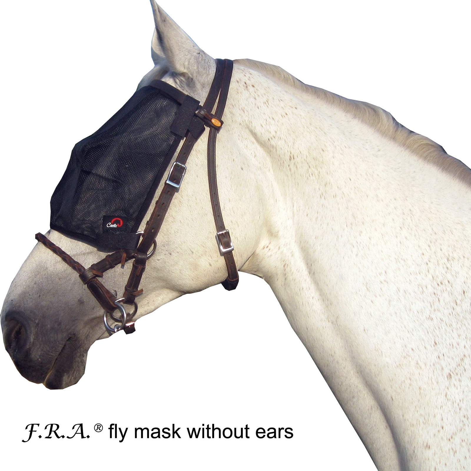 F.R.A. Freedom Riding Articles Cavallo flughuva