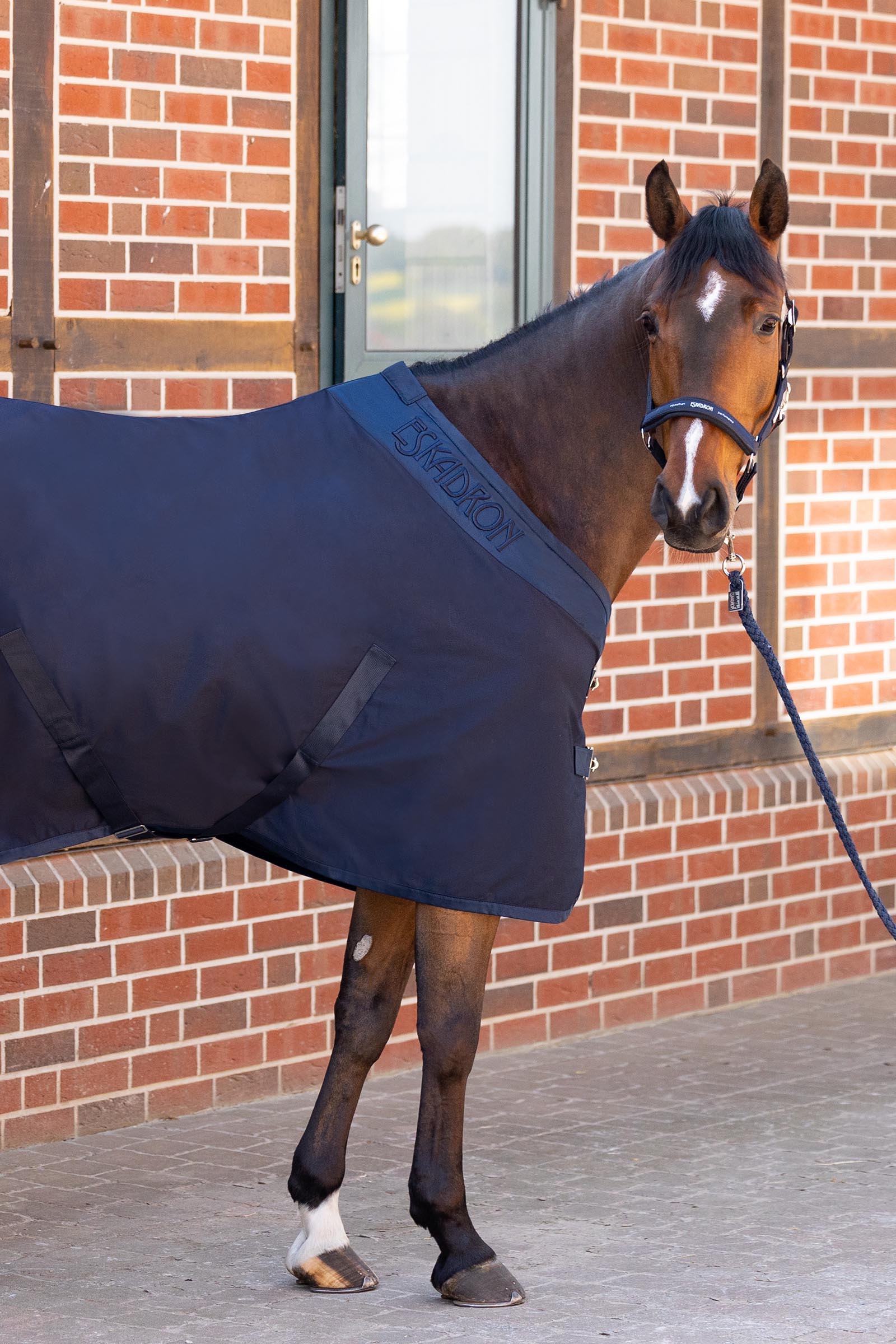 Eskadron Halter Pin Buckle