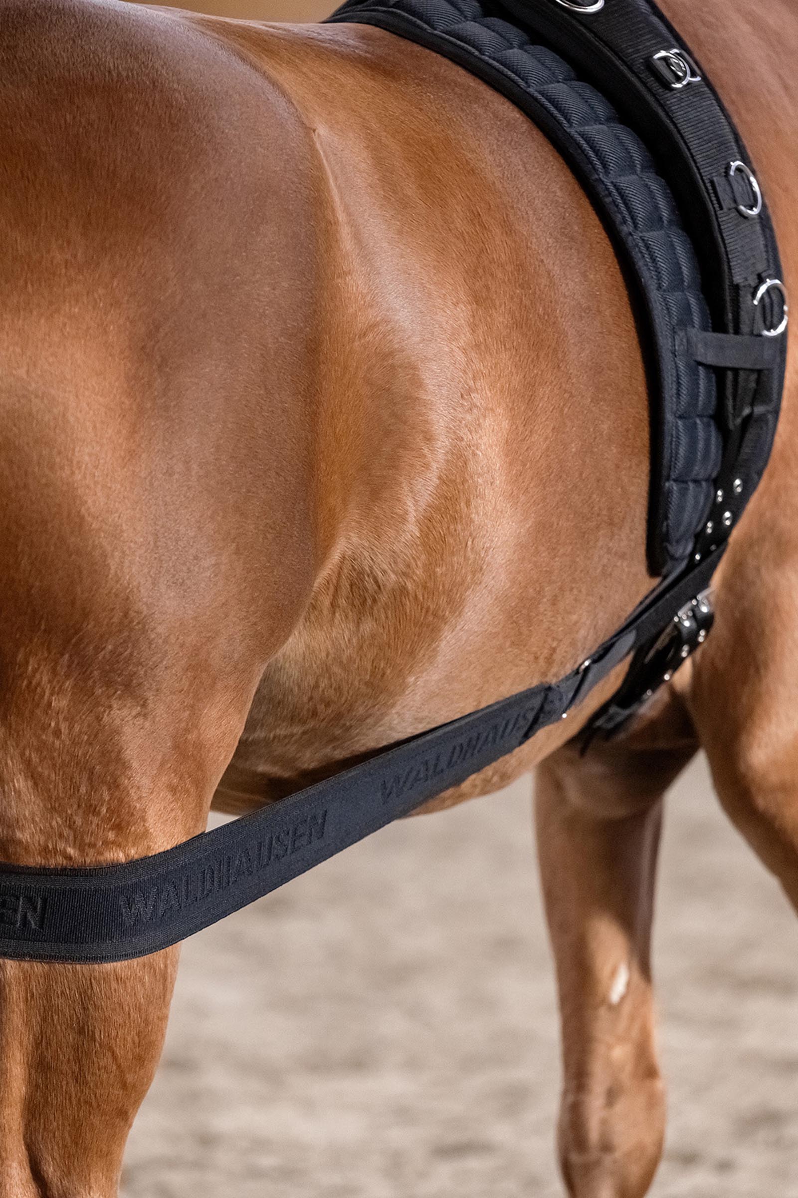 Waldhausen kroppsbinda f&ouml;r aktivering av bakdelen