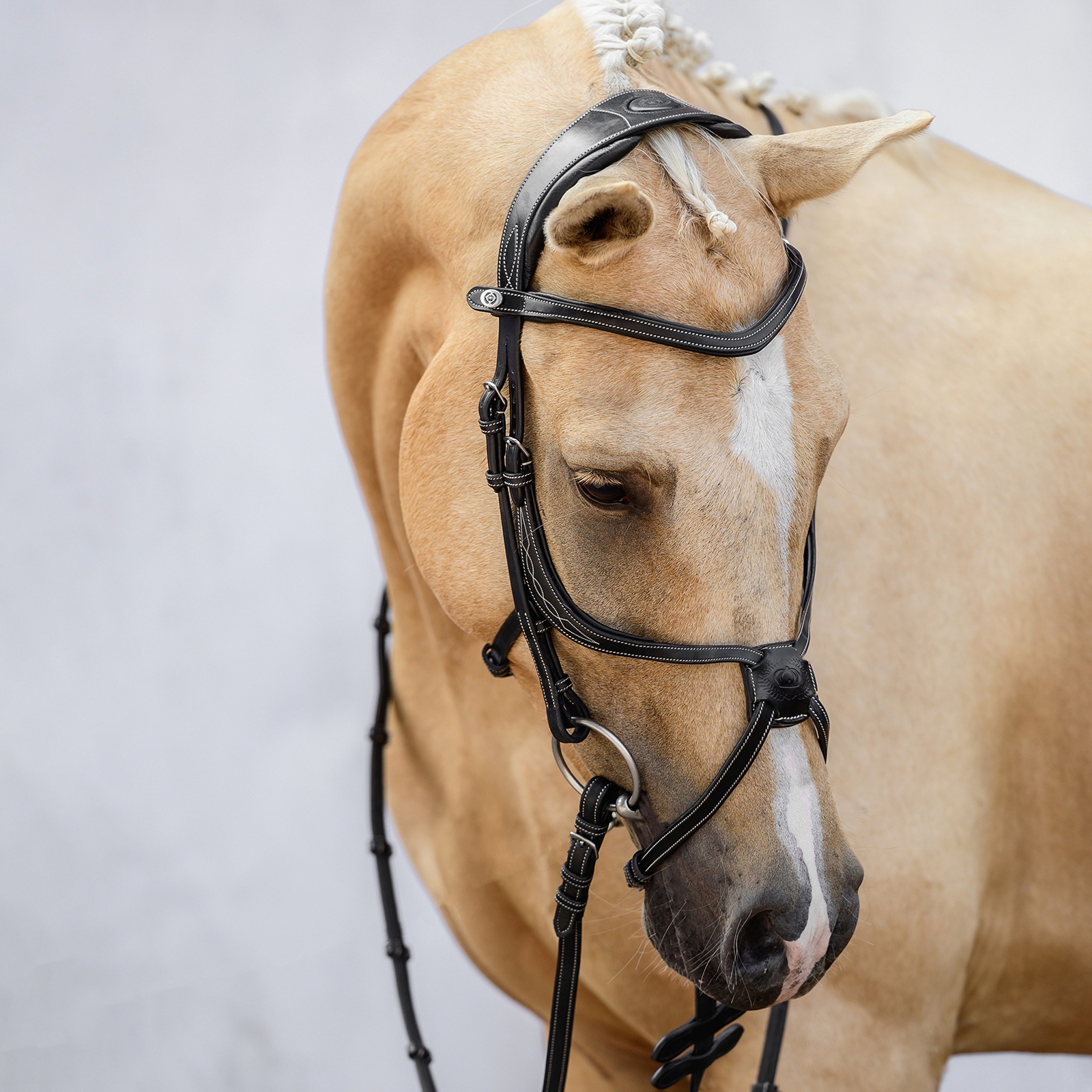 PS of Sweden Athens Träns