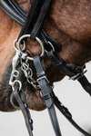 Schockemöhle Sports Milton Anatomic  Double Bridle