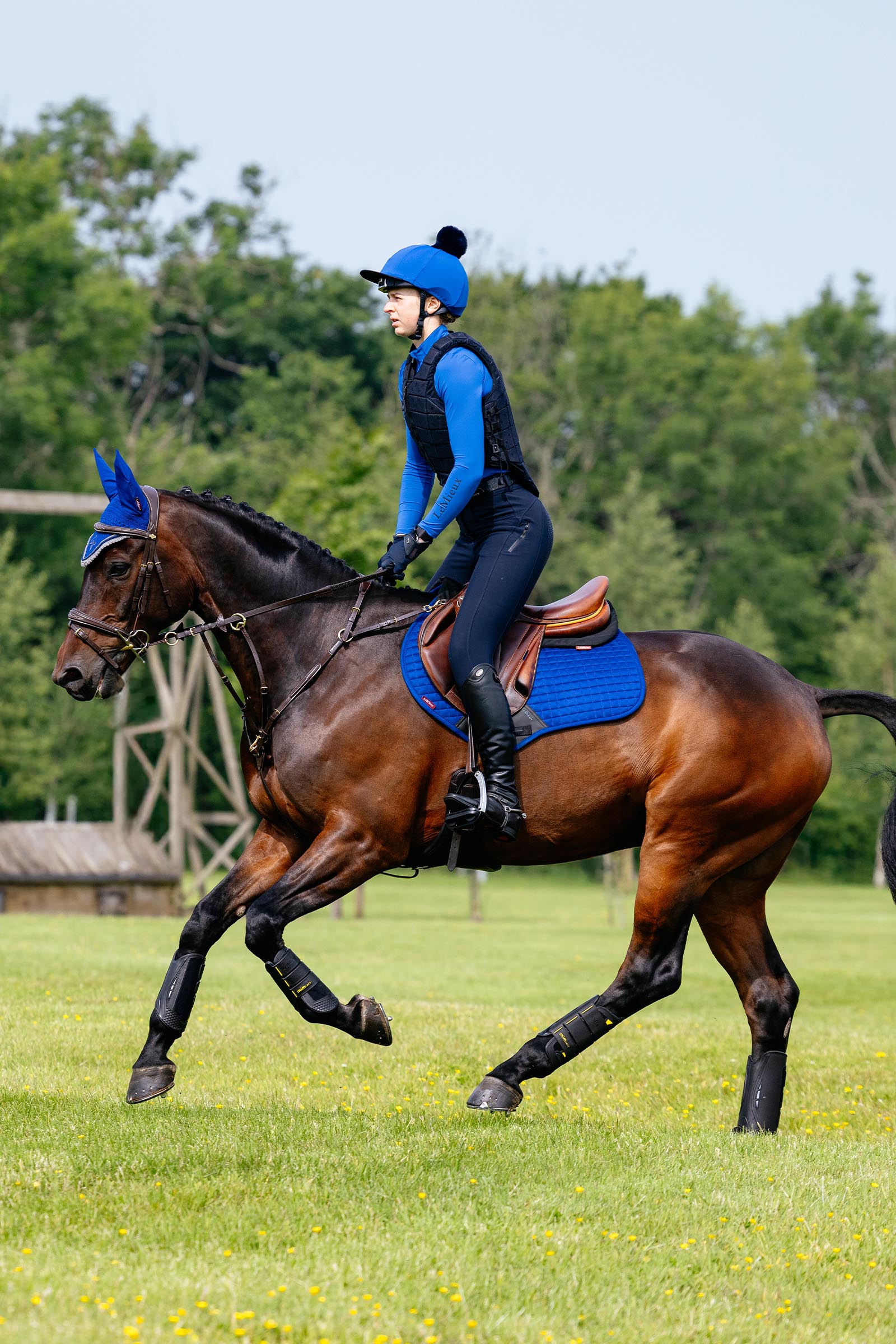 LeMieux Suede Close Contact hoppschabrak