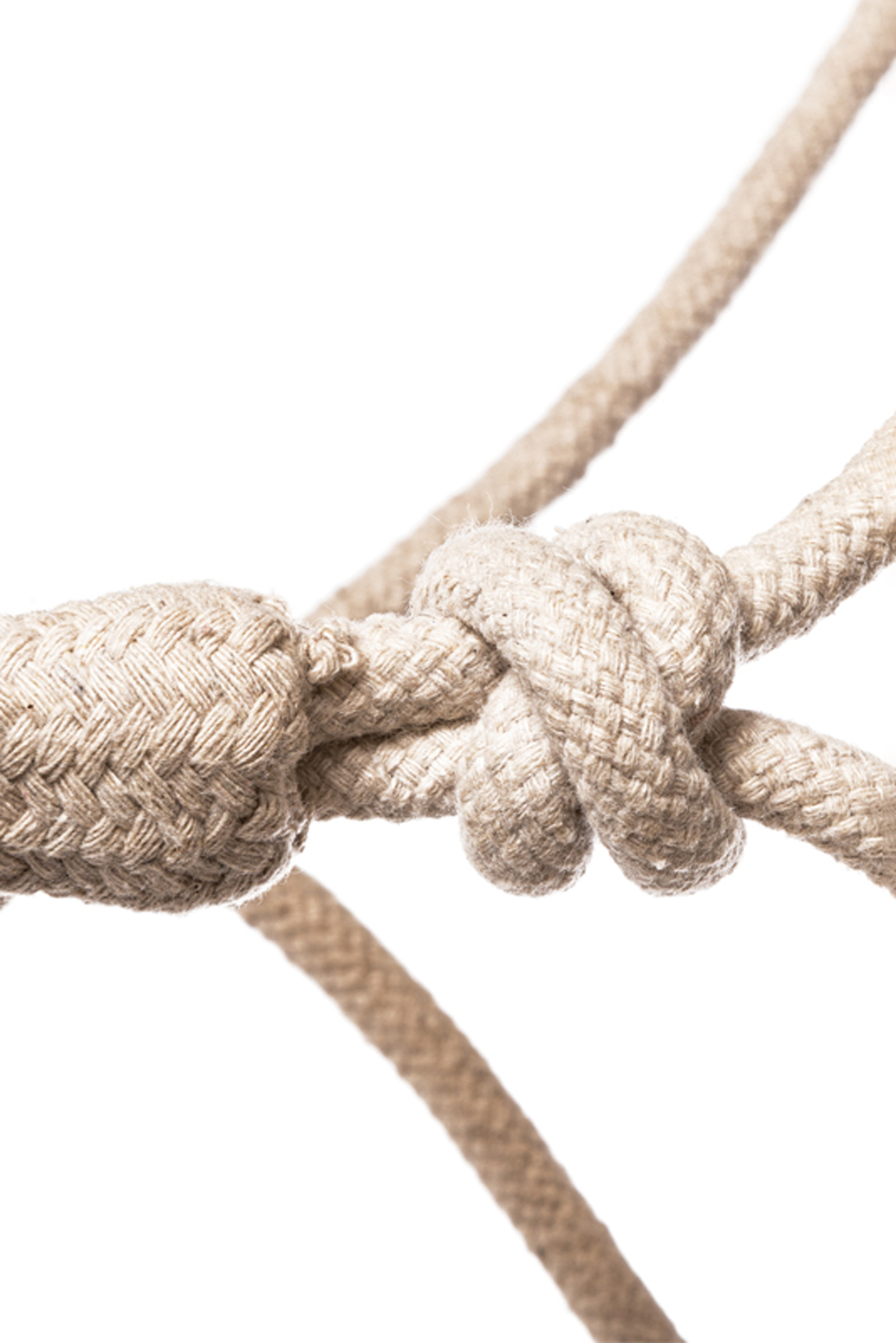 Kavalkade Knut repgrimma