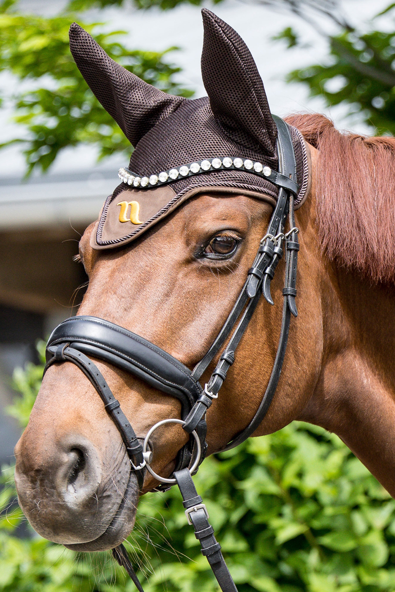 Back on Track Airflow flughuva